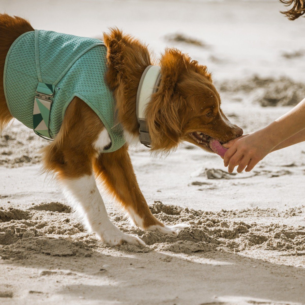 HURTTA Hundeweste Kühlweste Cooling Wrap aquamarin