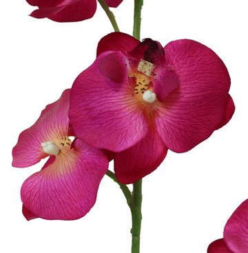 Kunstorchidee Orchidee Kunstblume Blume künstlich orchideentopf wie echt 1252, PassionMade, Höhe 60 cm, Dekoblume Dekoorchidee