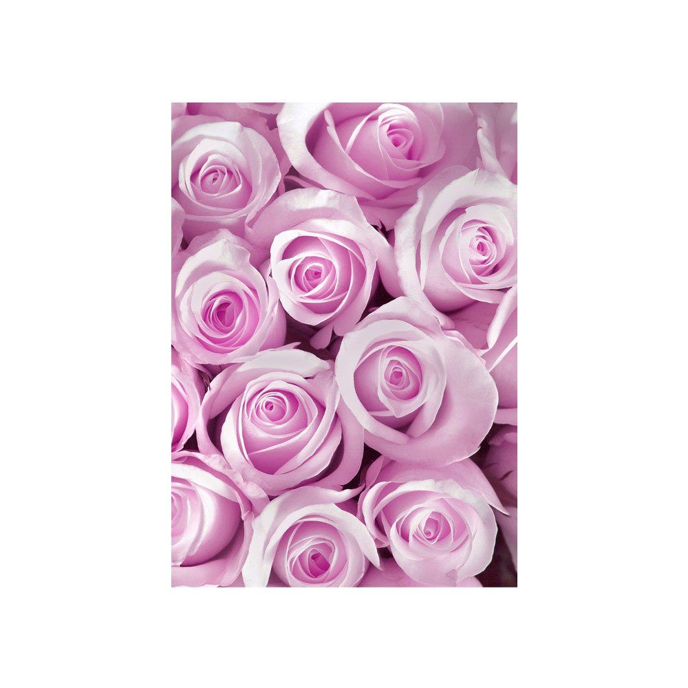 Liebe Love Rose no. Blumen 186, liwwing Blüten Pink Natur Fototapete liwwing Blüte Blumen Fototapete