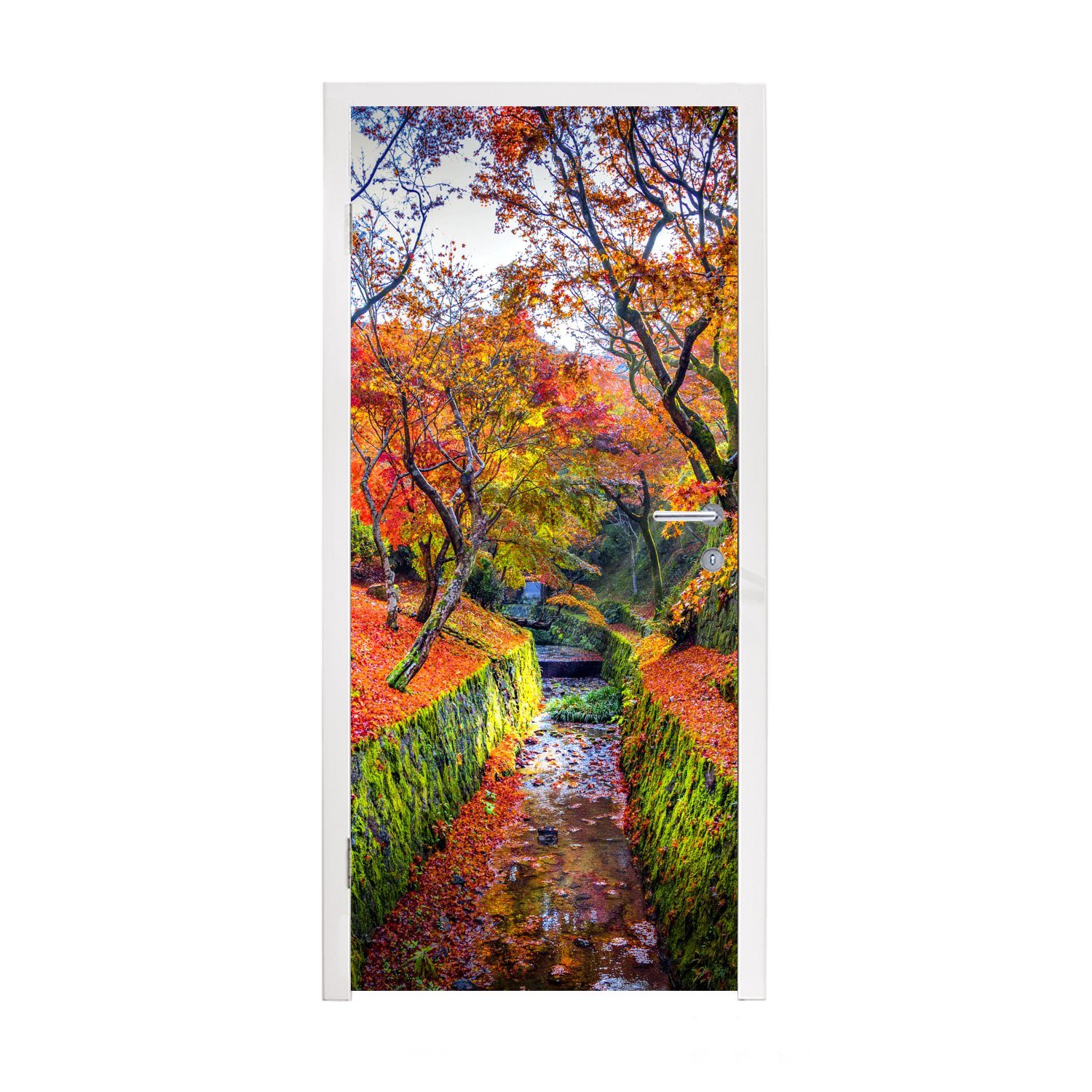 MuchoWow Türtapete Blick auf die bunten Blätter der Ahornbäume, Matt, bedruckt, (1 St), Fototapete für Tür, Türaufkleber, 75x205 cm
