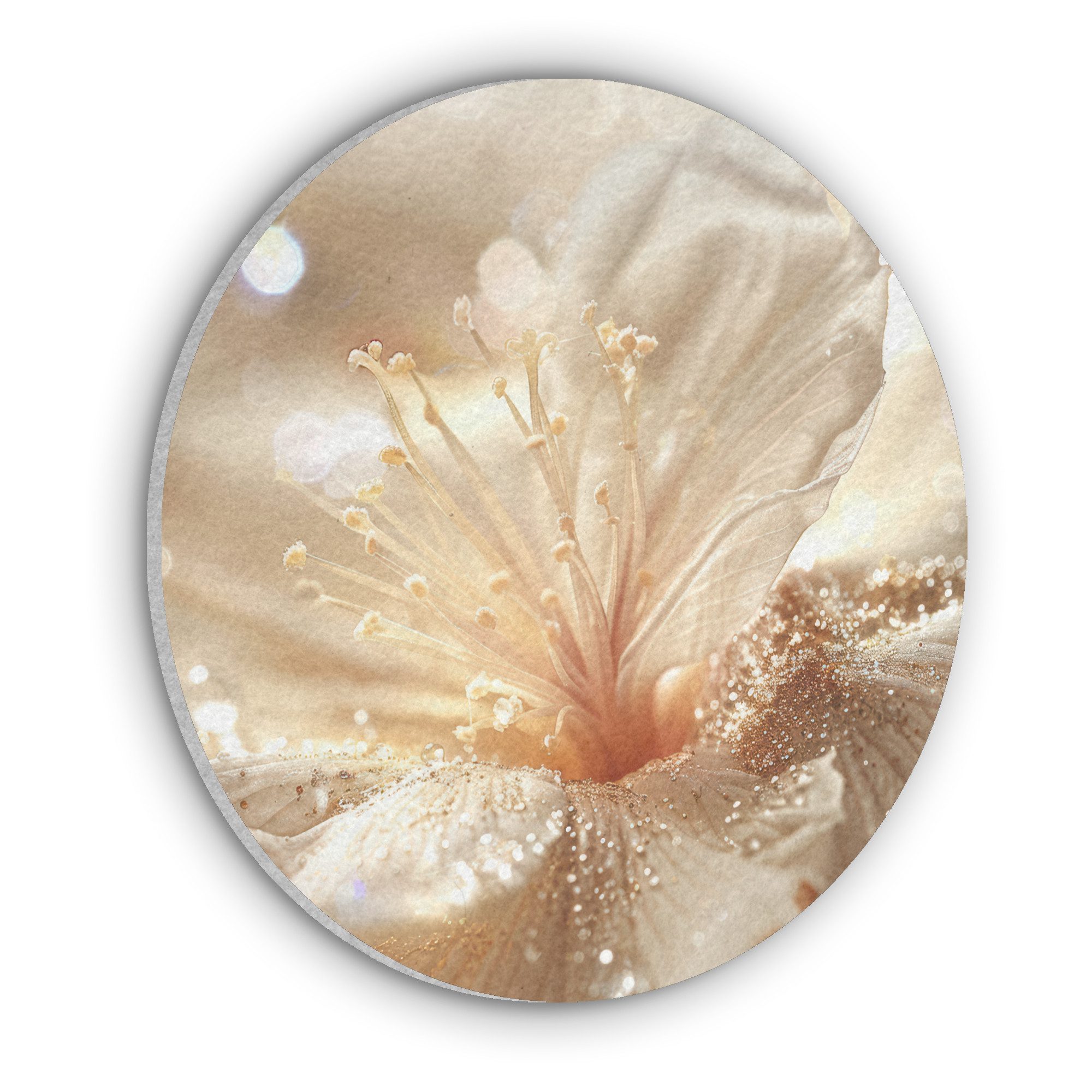 MuchoWow Gemälde Blume - Weiß - günstig online kaufen