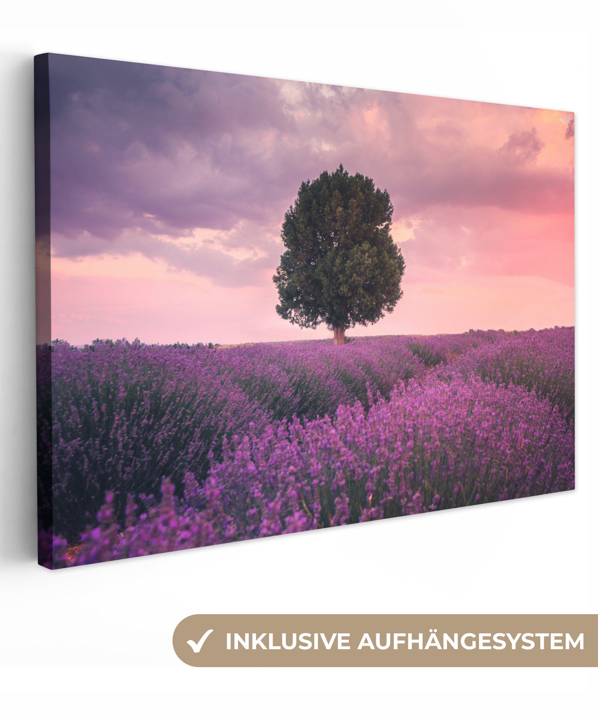 OneMillionCanvasses® Leinwandbild Lavendel - Blumen - Lila - Baum - Natur, Fotodruck (1 St), Leinwände Wanddeko Wohnzimmer Schlafzimmer 60x40 cm