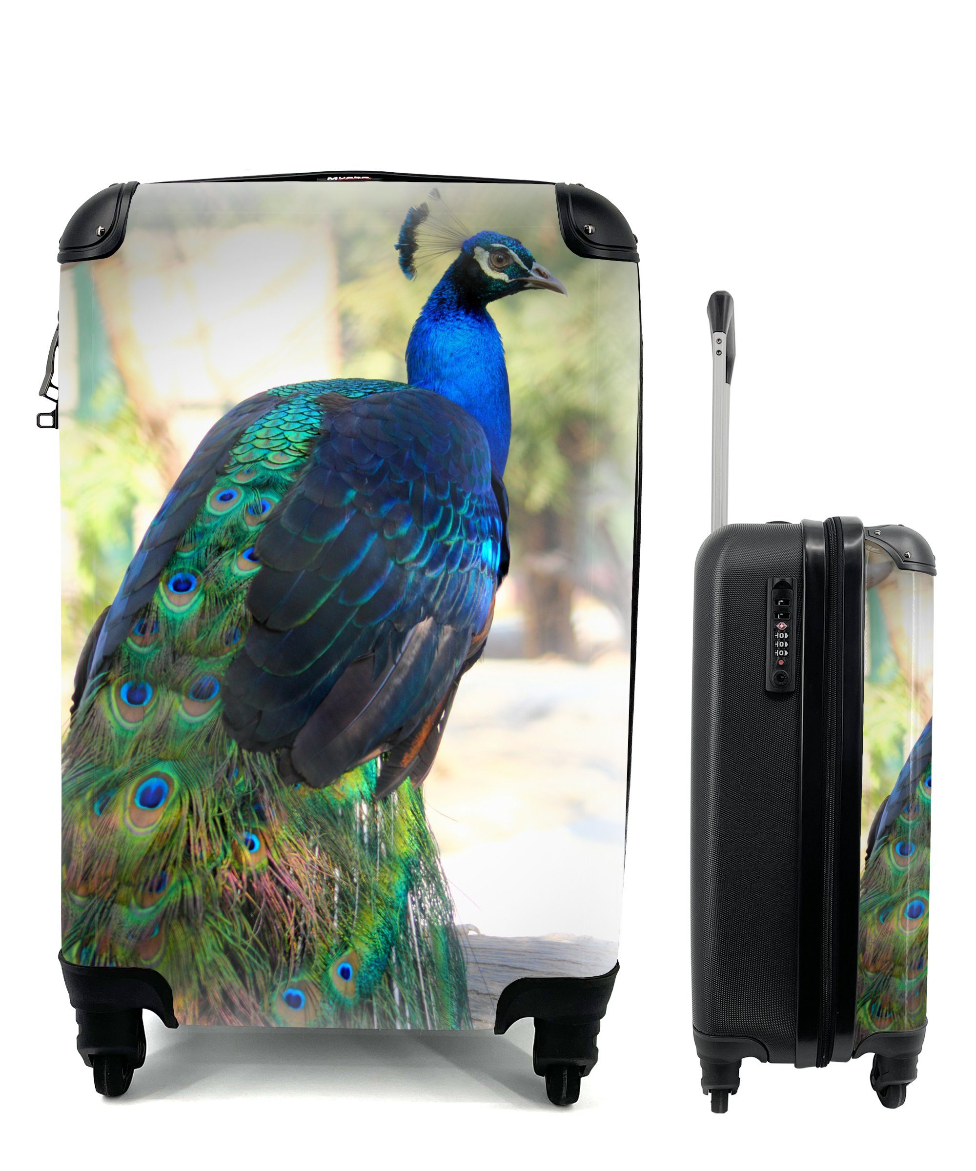 Handgepäck rollen, MuchoWow Reisetasche für Pfau 4 Reisekoffer Ferien, Rollen, - mit Handgepäckkoffer Tiere - Trolley, Federn,