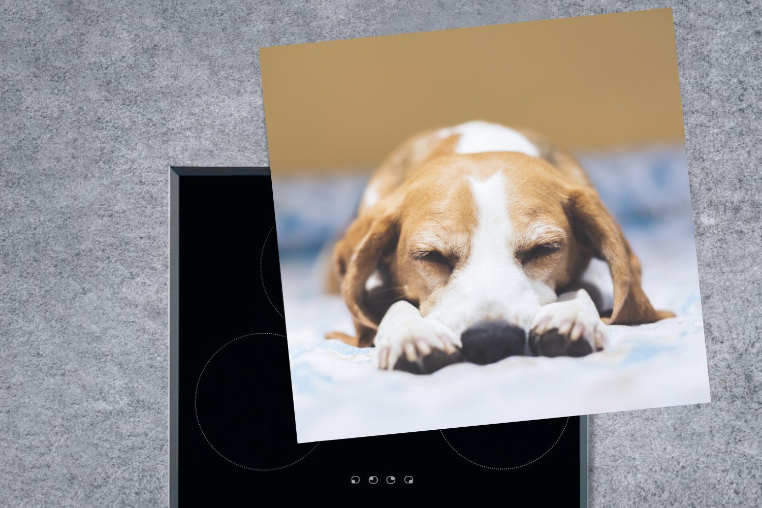 MuchoWow Herdblende-/Abdeckplatte Schlafender Beagle-Welpe küche Ceranfeldabdeckung, cm, auf (1 Vinyl, Arbeitsplatte Bett, einem tlg), für 78x78