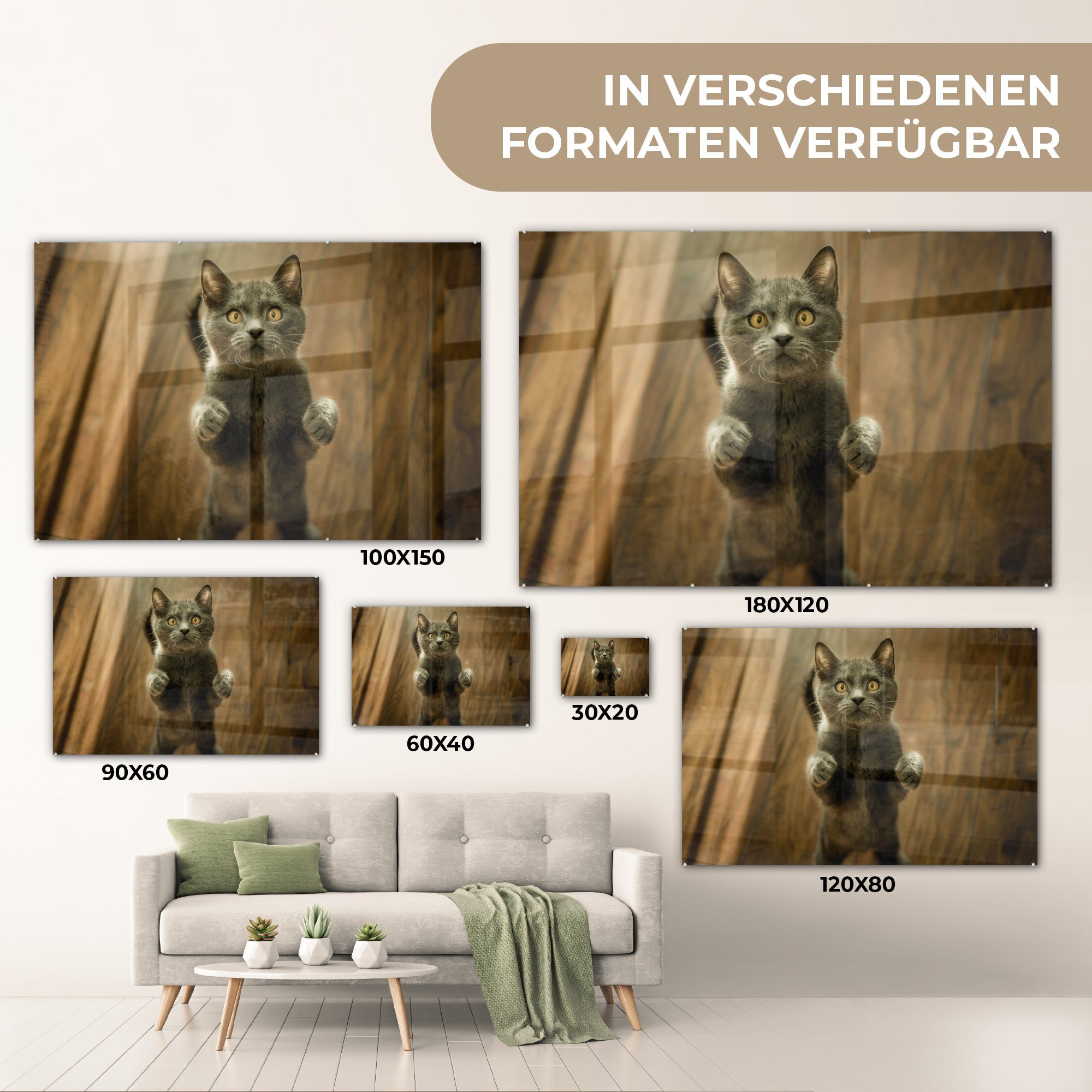 MuchoWow Acrylglasbild Katzen Grau, - & - (1 St), Schlafzimmer Boden Wohnzimmer Acrylglasbilder