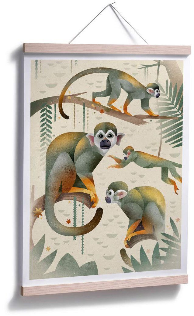 St), Bild, Squirrel Poster Wandposter Poster, Wall-Art Monkeys, Wandbild, Tiere (1