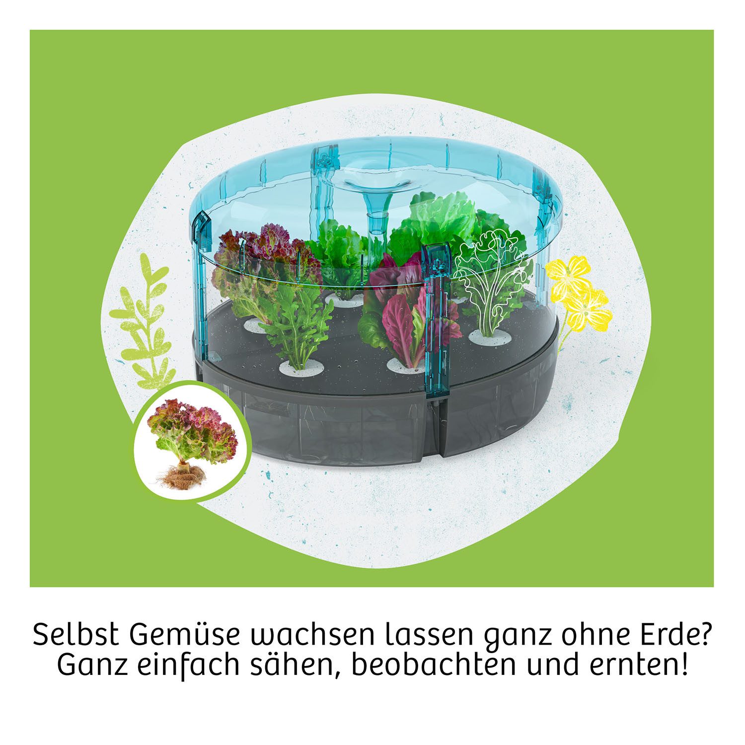Kosmos Experimentierkasten Hydro-Garten, Made in Germany