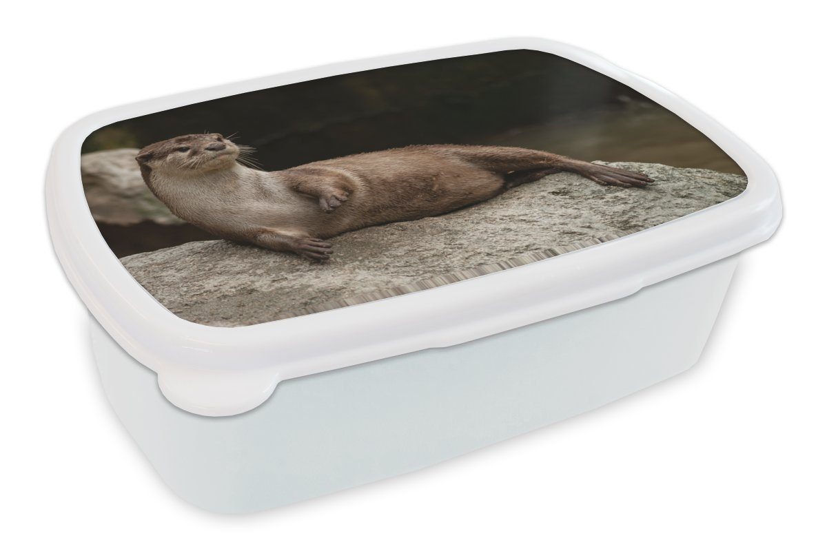 MuchoWow Lunchbox Otter auf Stein, Kunststoff, (2-tlg), Brotbox für Kinder und Erwachsene, Brotdose, für Jungs und Mädchen weiß