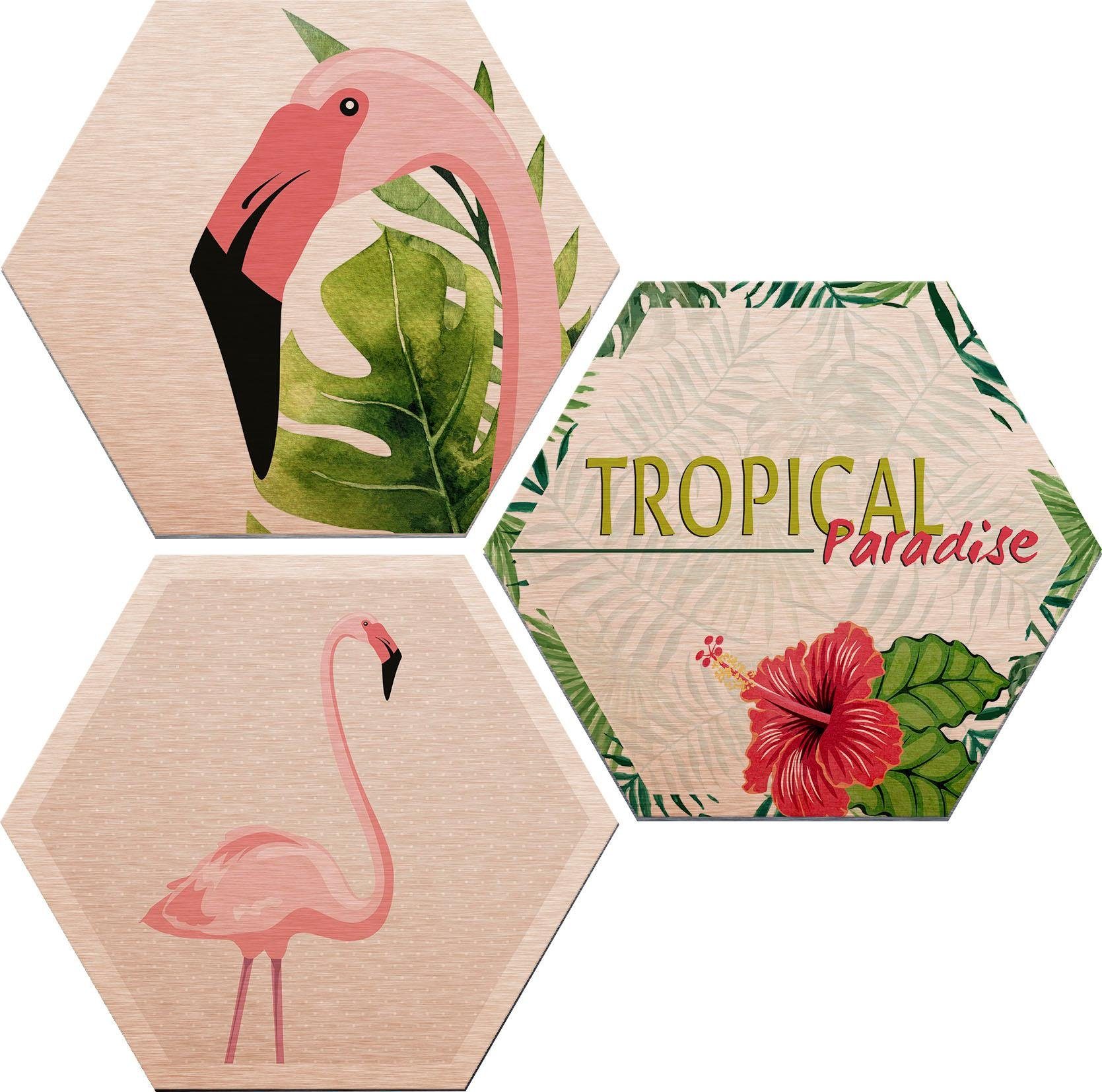 Alu-Dibond-Druck »Flamingo 03«, Flamingos (Set, 3 Stück ...