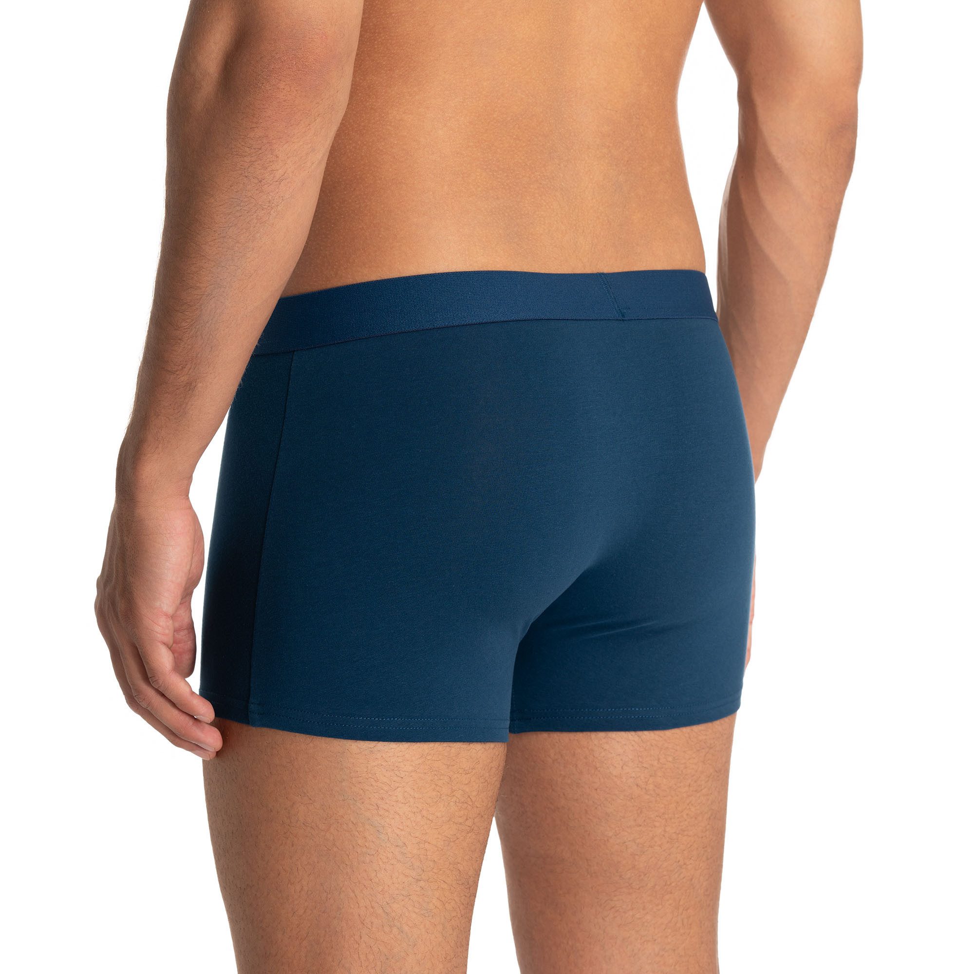 Bruno Banani Boxer Flowing (2er Pack) mit kontrastreichem Logobund – Bild 4 von 5