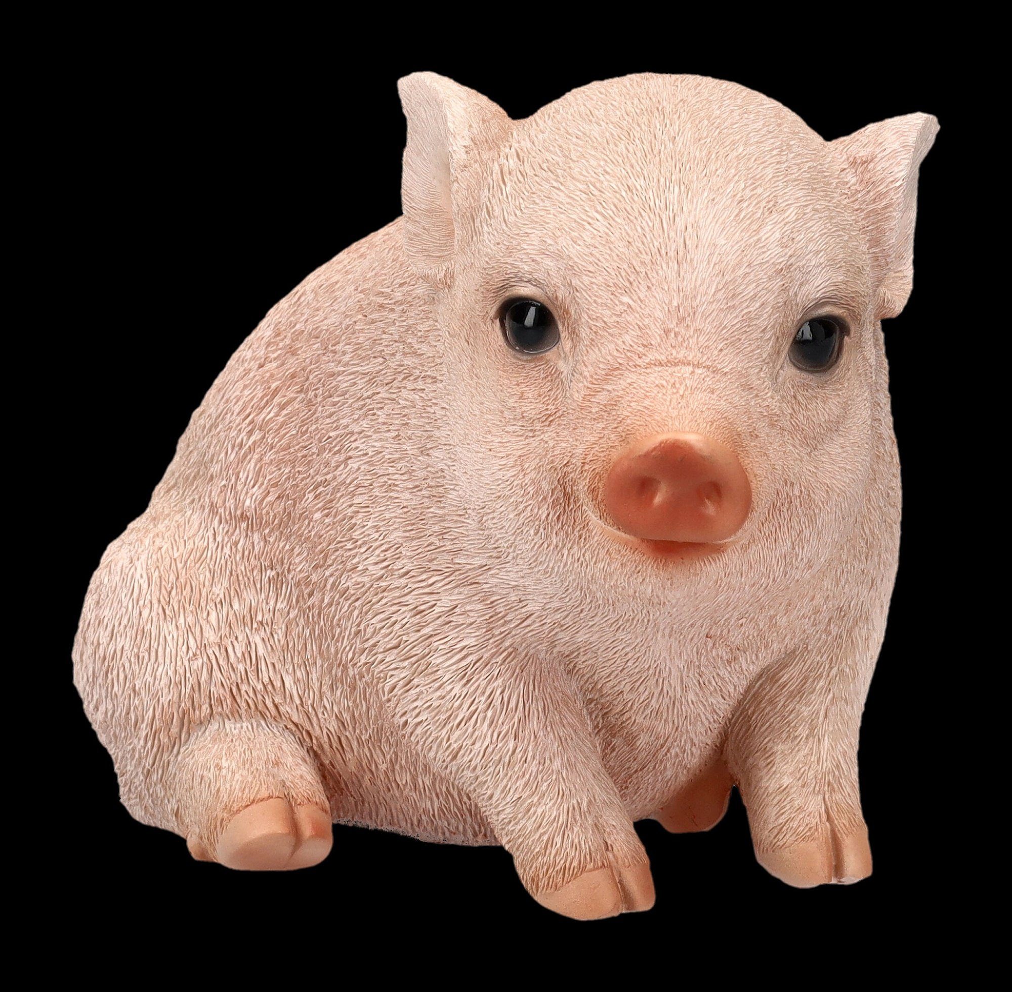 Bauernhof Dekoration - Figuren - Baby Figur Dekofigur Shop GmbH Tierfigur Schweinchen Schweine