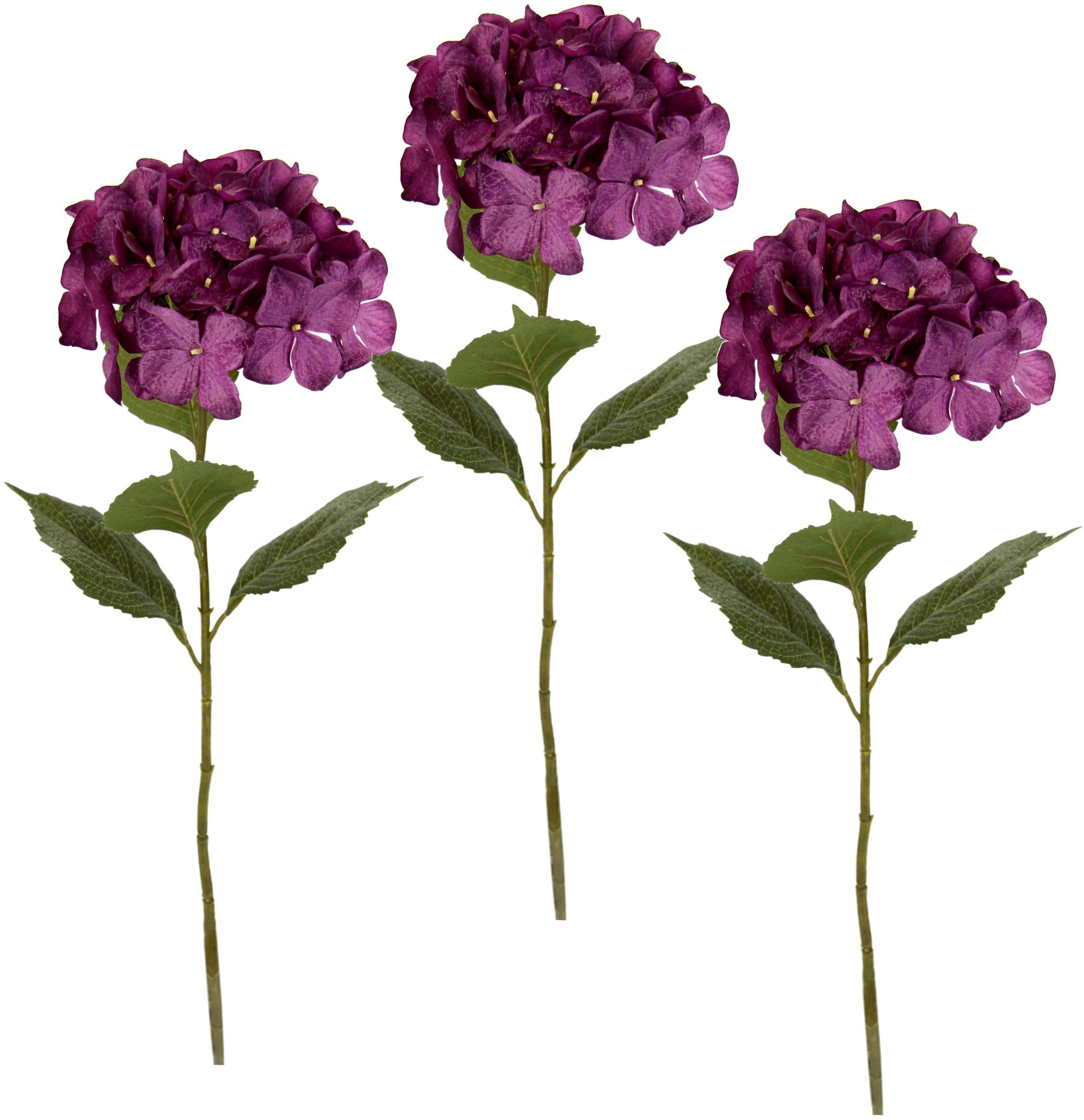 Kunstblume Hortensie, I.GE.A., Höhe 73 cm, 3er Set burgund | Kunstblumen