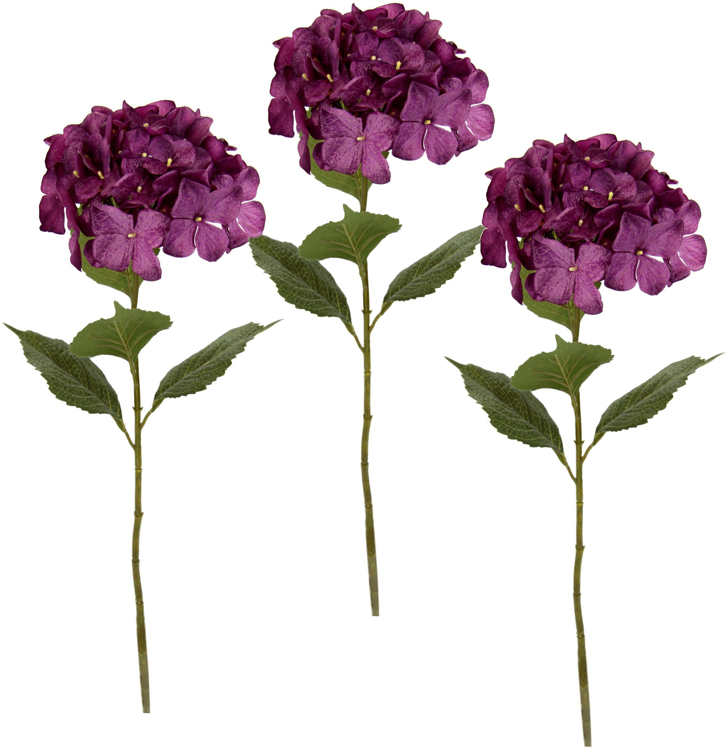 Kunstblume Hortensie, I.GE.A., Höhe 73 cm, 3er Set günstig online kaufen