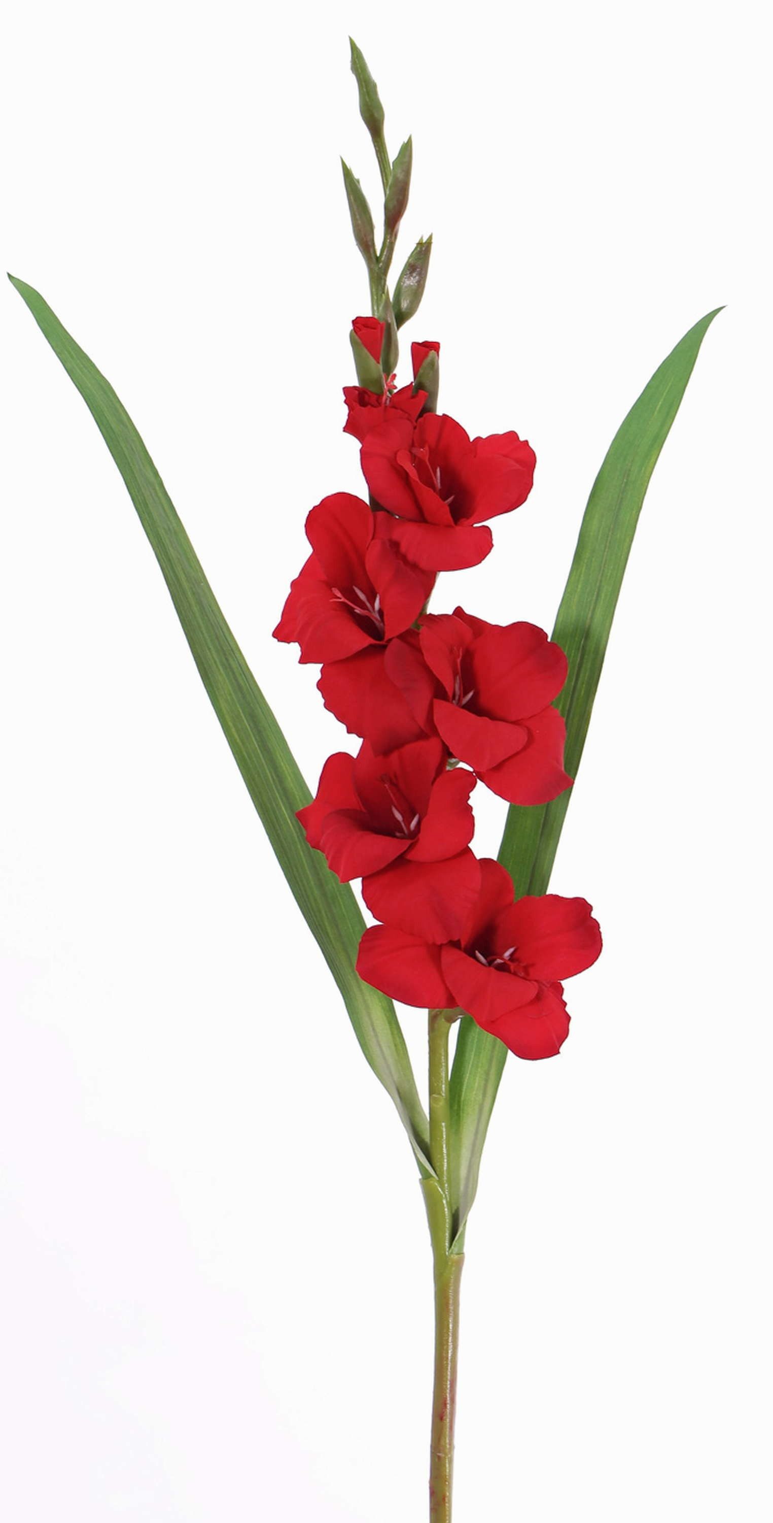 Kunstblume Künstliche Blume Gladiole ELEA, rot, 85cm, Ø Gladiole, artplants, Höhe 80.0 cm