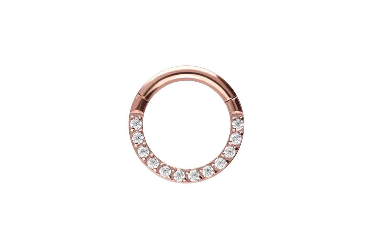 Nasenpiercing Titan Segmentring Clicker EINGEFASSTE KRISTALLE Ohrpiercing Septum
