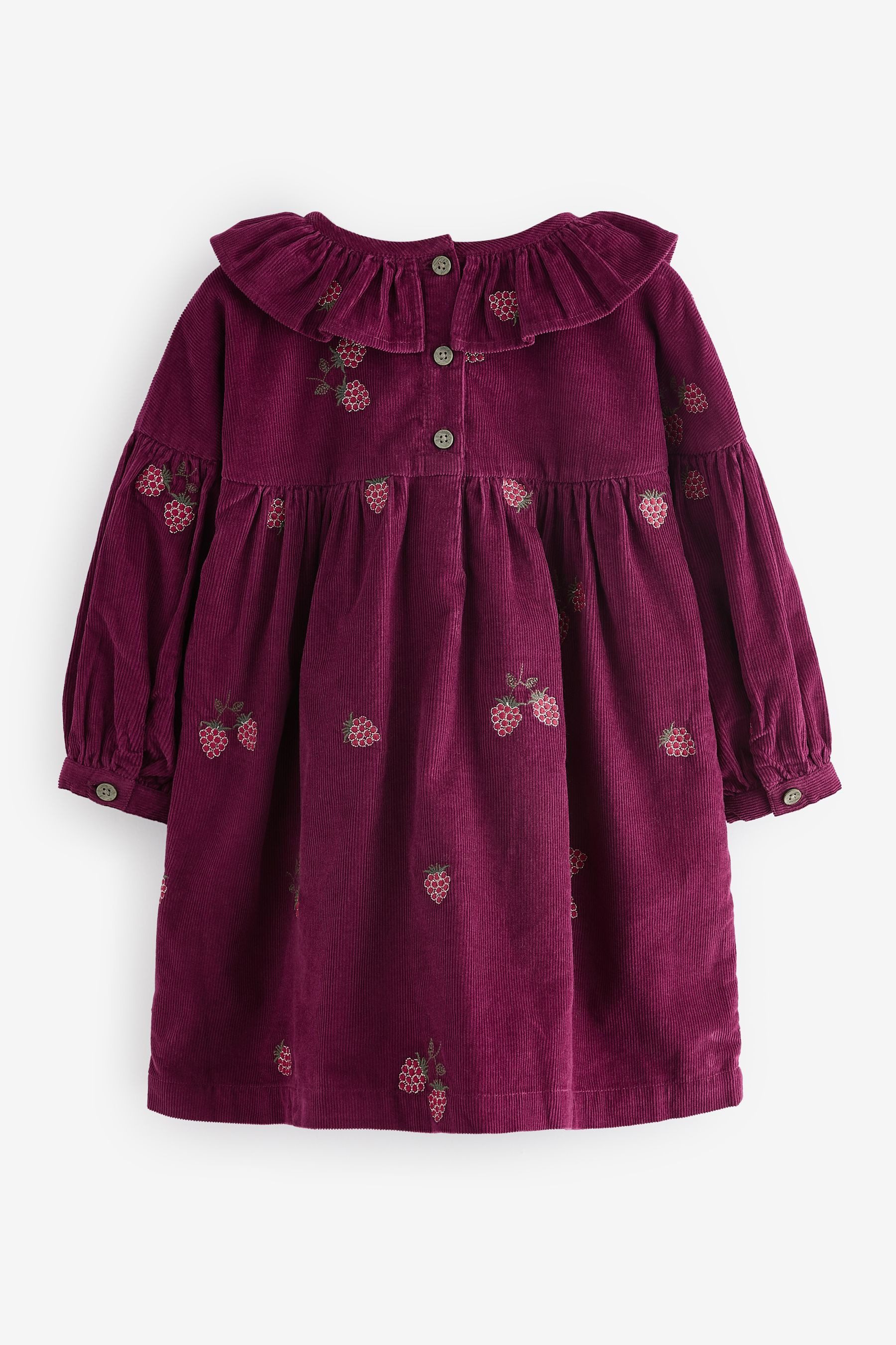 Next Etuikleid Kleid mit besticktem Kragen günstig online kaufen