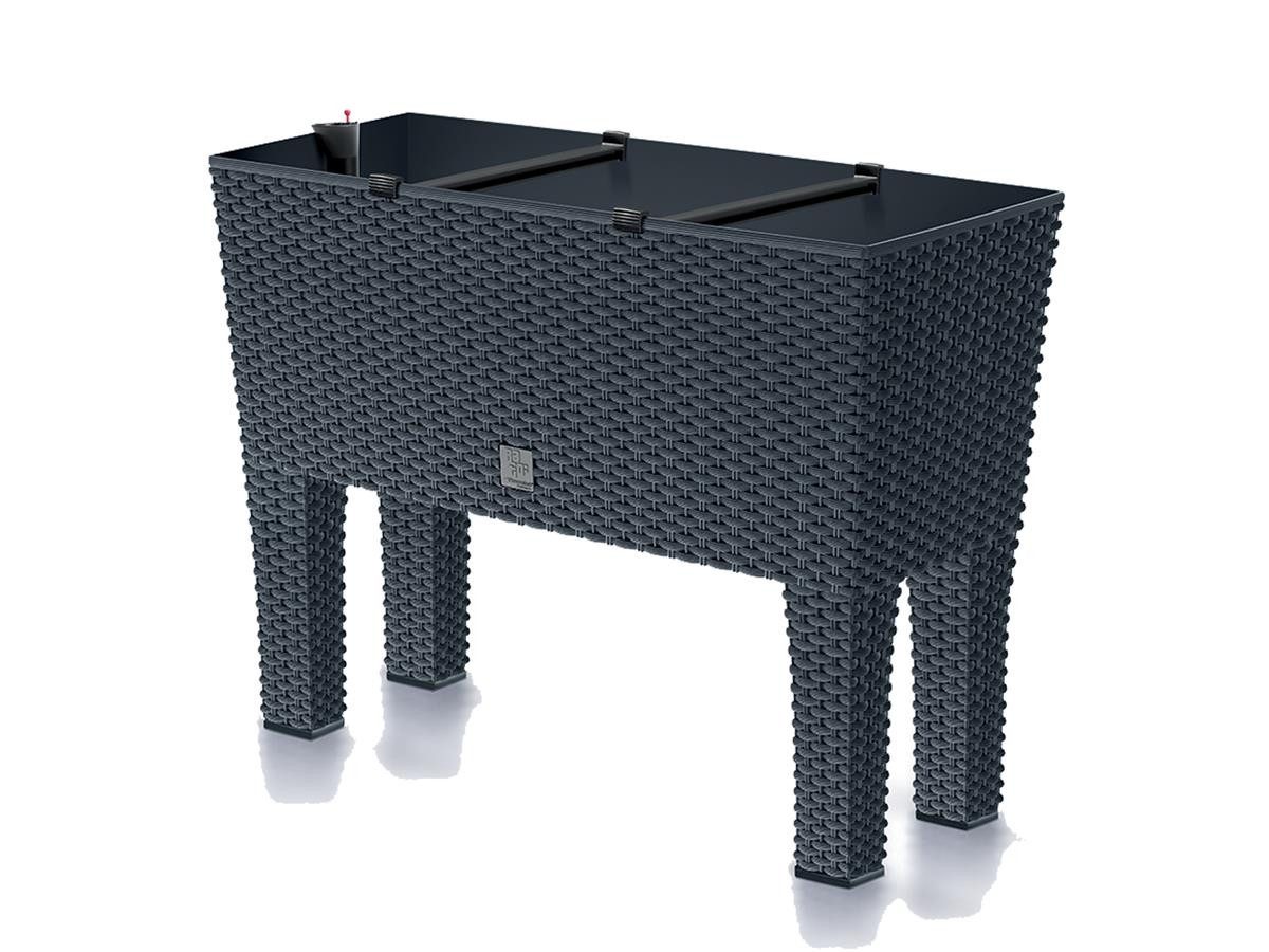 Prosperplast Hochbeet Rato Case High, inkl. Bewässerungssystem, abnehmbare Beine