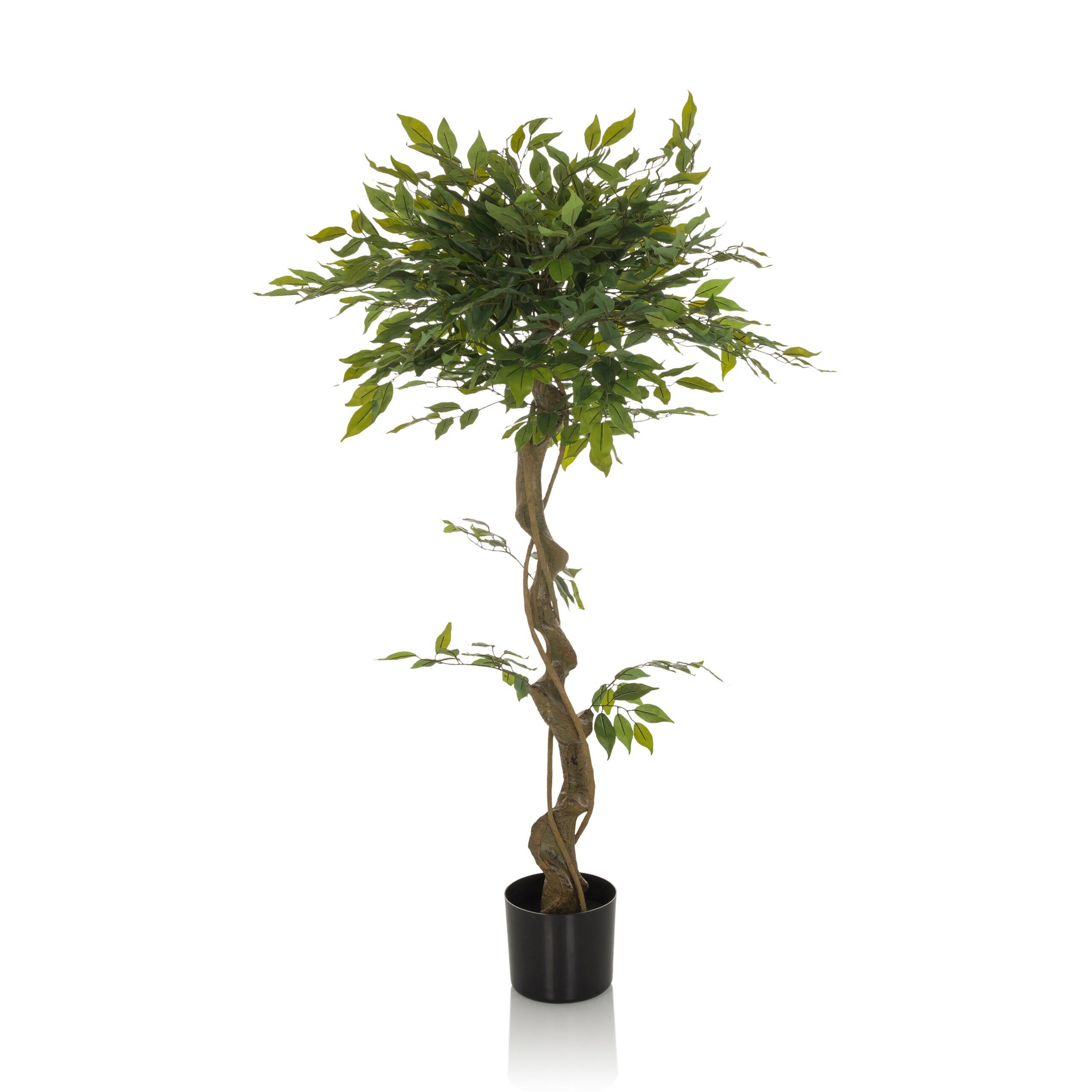 Kunstpflanze FICUS I Künstliche Pflanze Höhe 120.0 cm Birke Birke, hjh OFFICE, Höhe 120.0 cm, Künstliche Zimmerpflanze Benjamini im Kunststoff-Topf, Kunstbaum
