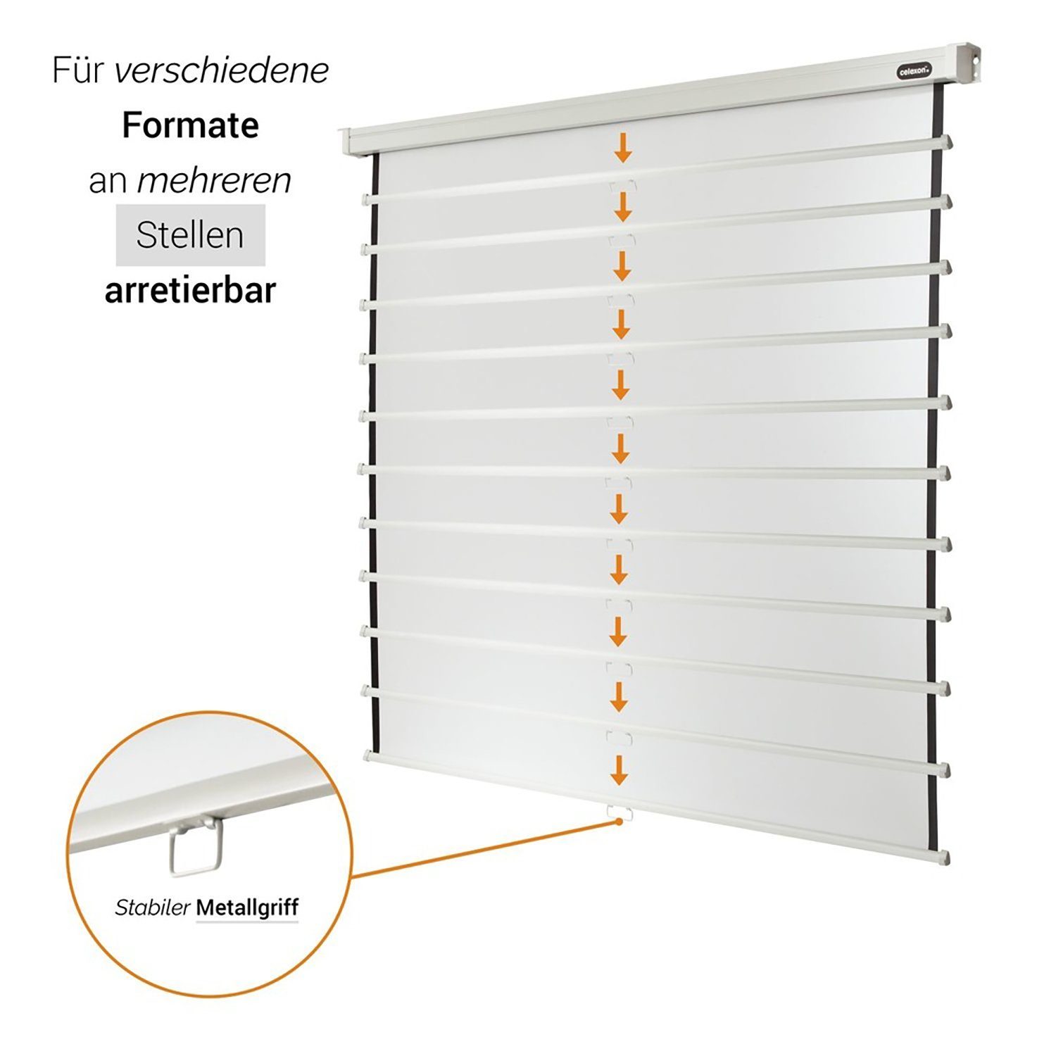 Celexon Professional Rolloleinwand (schwarze Rückseite)