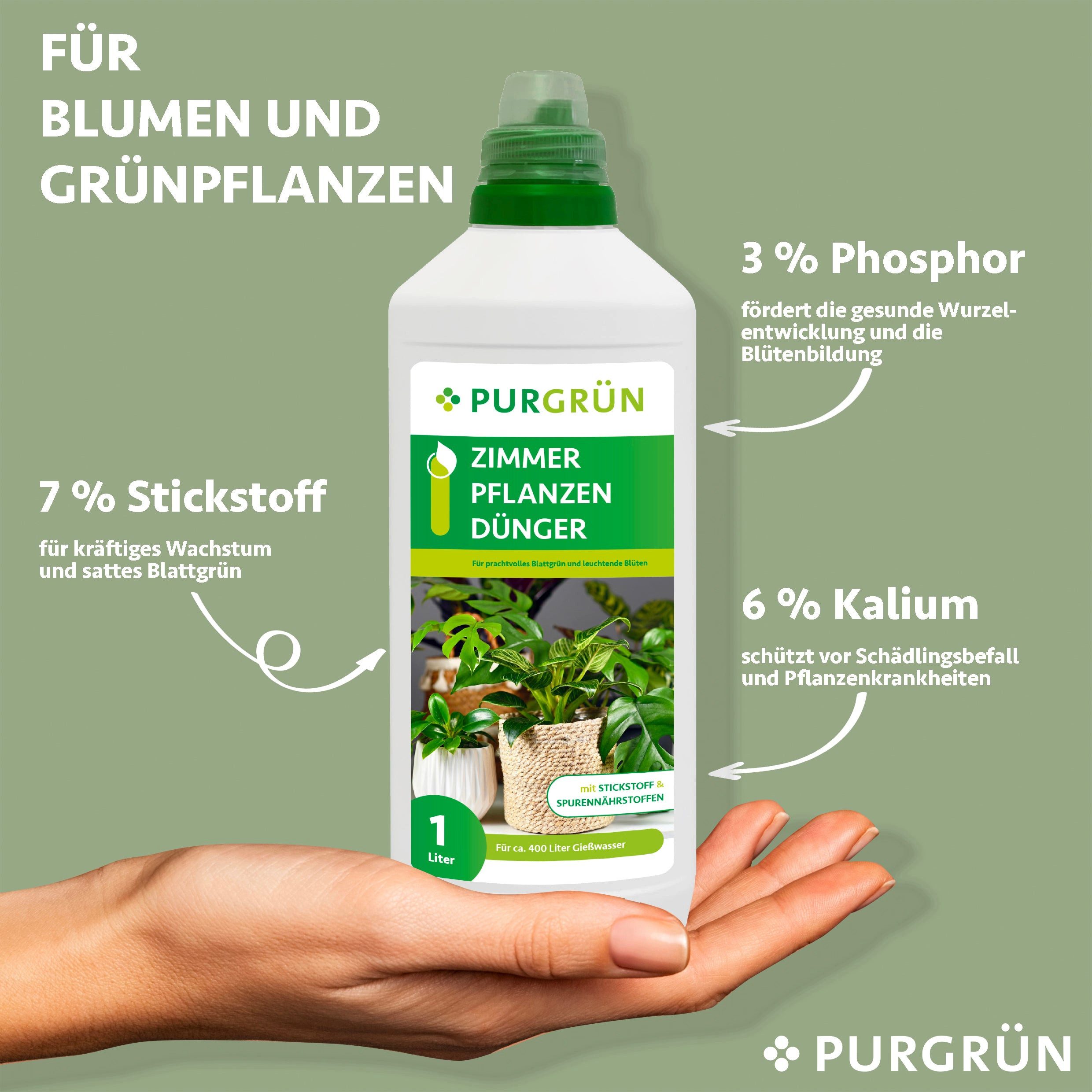 Purgrün Universaldünger Purgrün Zimmerpflanzen Dünger, NPK günstig online kaufen