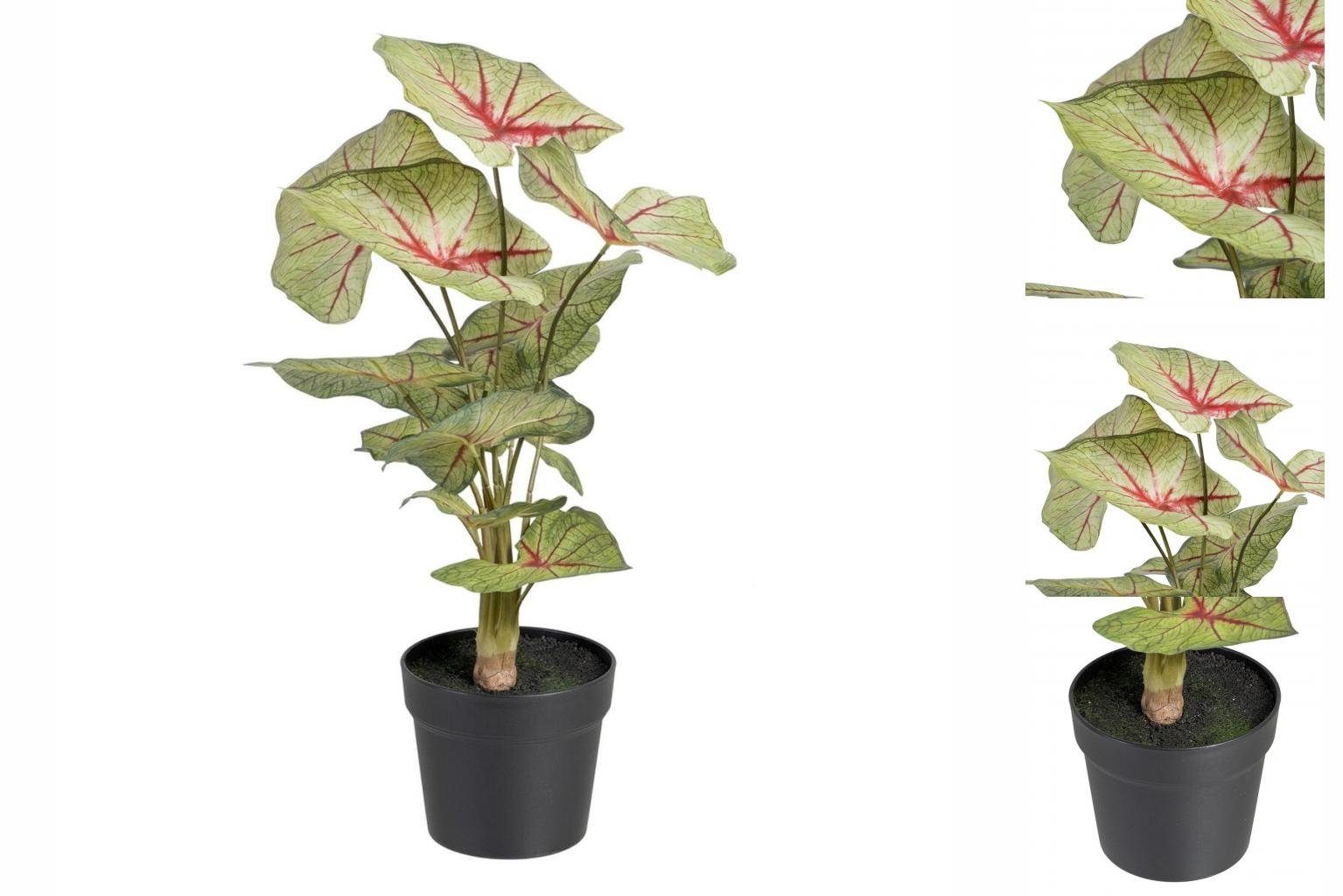 Künstliche Zimmerpflanze Dekorationspflanze Rot grün PVC 40 x 35 x 55 cm, Bigbuy, Höhe 58 cm