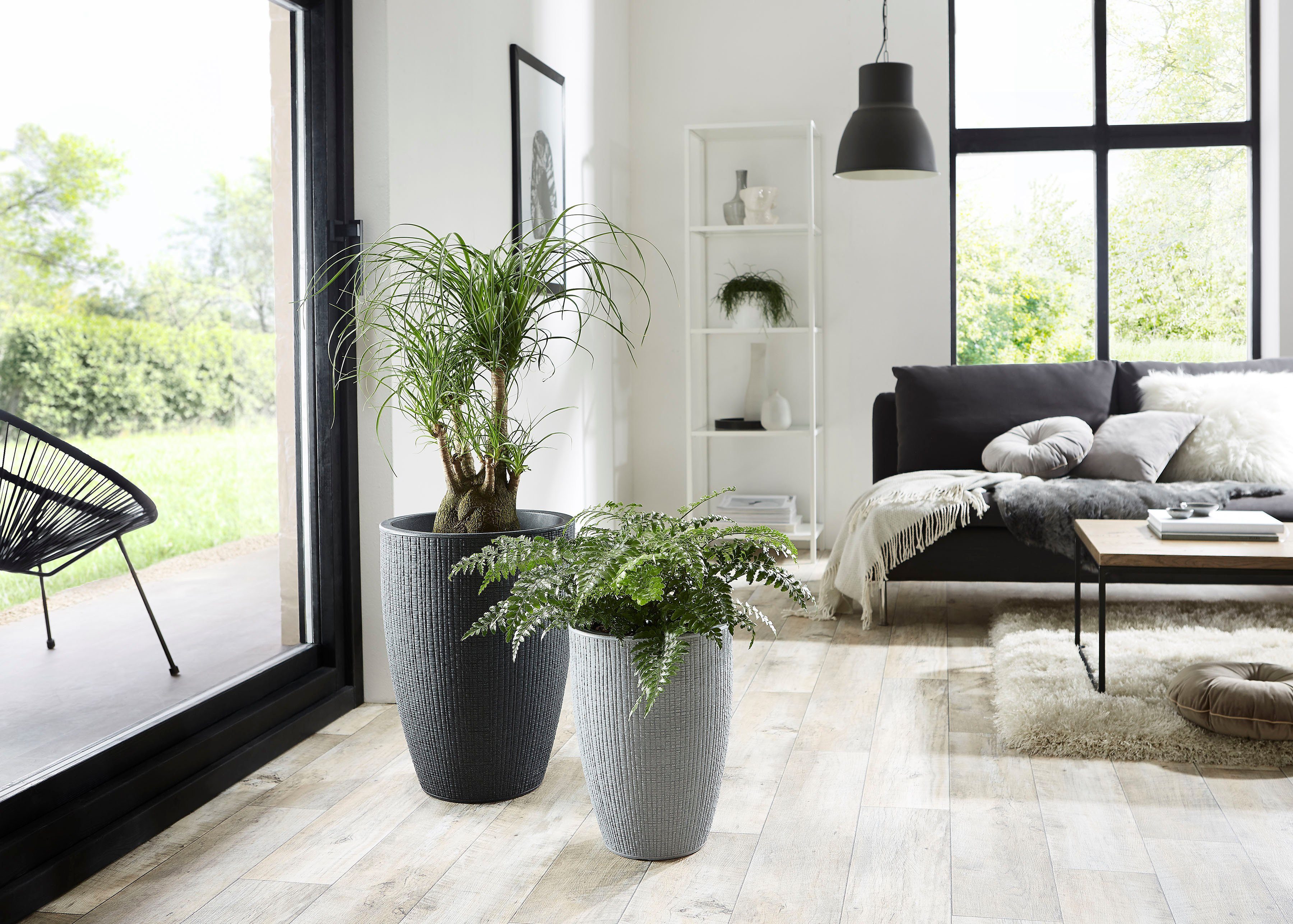 Scheurich Blumentopf 40/299 BARCEO HIGH günstig online kaufen