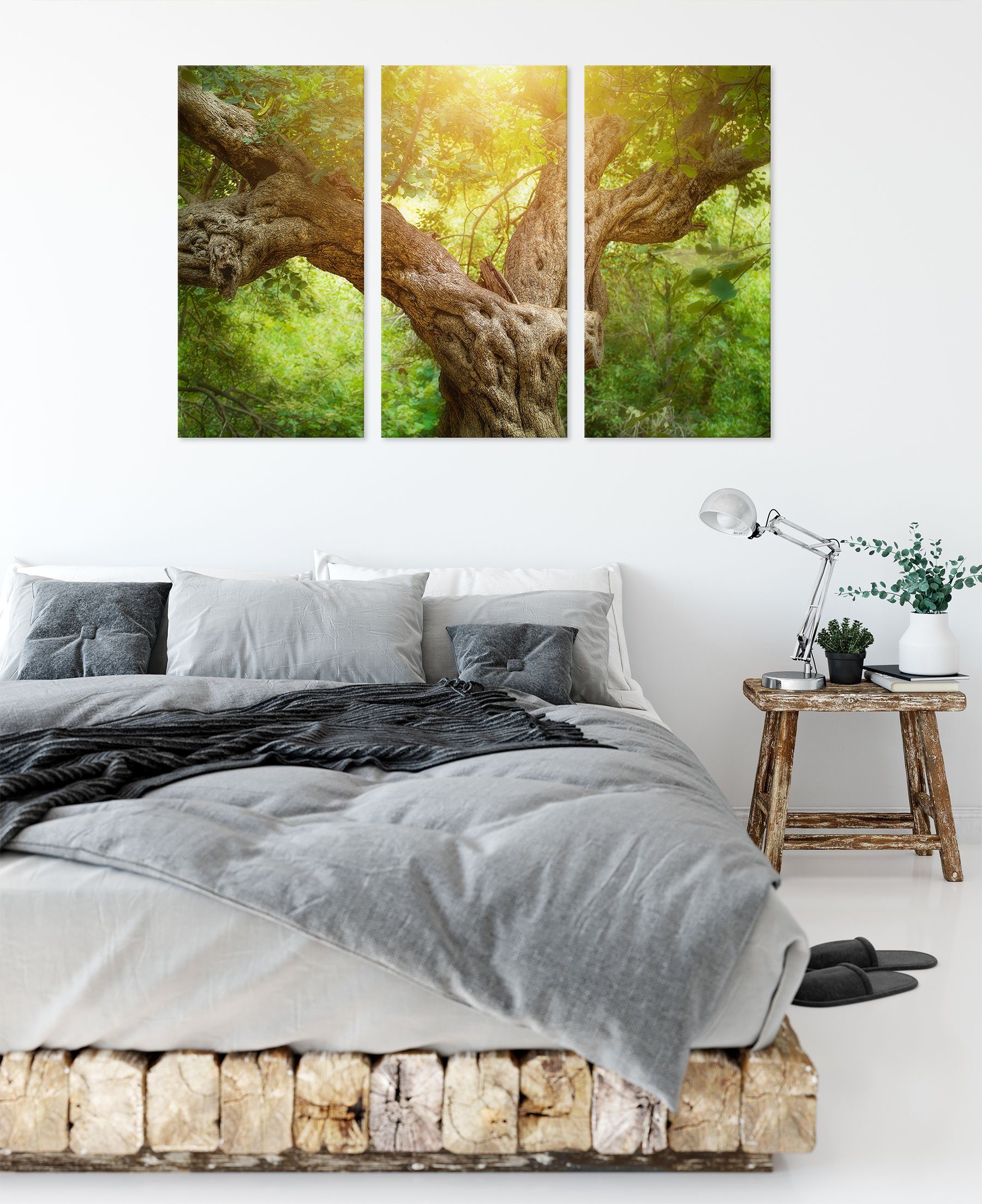 Pixxprint Leinwandbild Mächtiger bespannt, Wald (1 Wald, Mächtiger Baum Baum Leinwandbild (120x80cm) im St), fertig im inkl. Zackenaufhänger 3Teiler