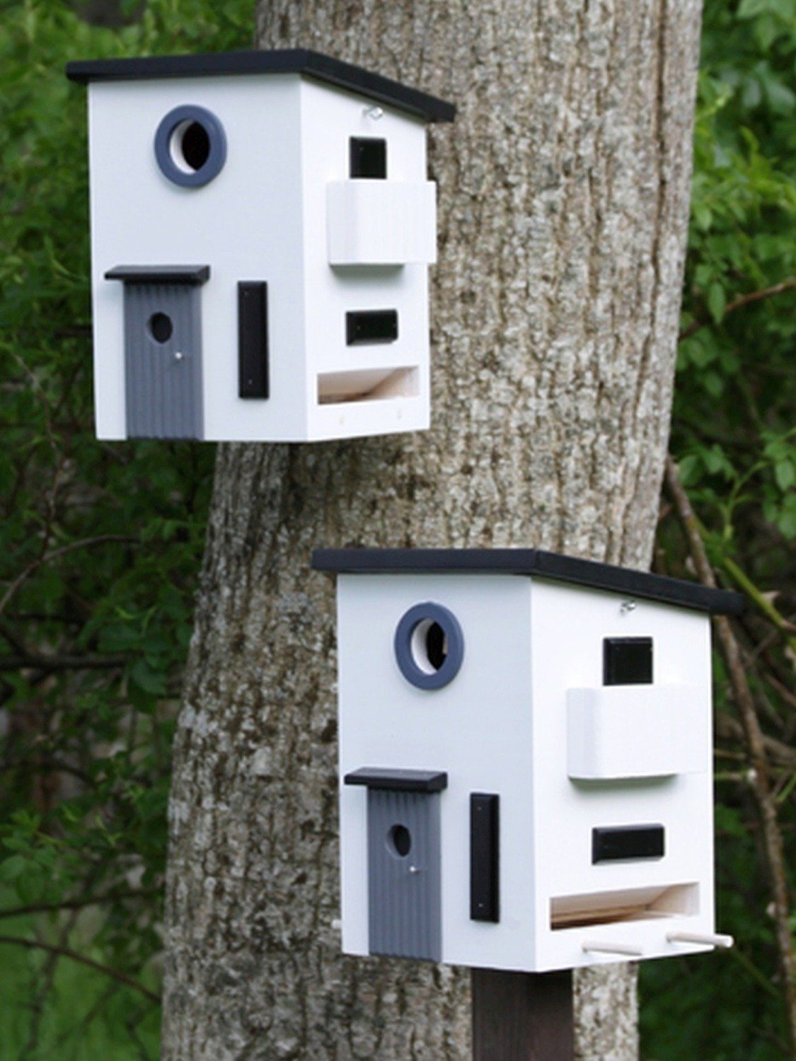 Nistkasten Wildlife Garden Vogelhaus in Multiholk Einem & Futterhäuschen