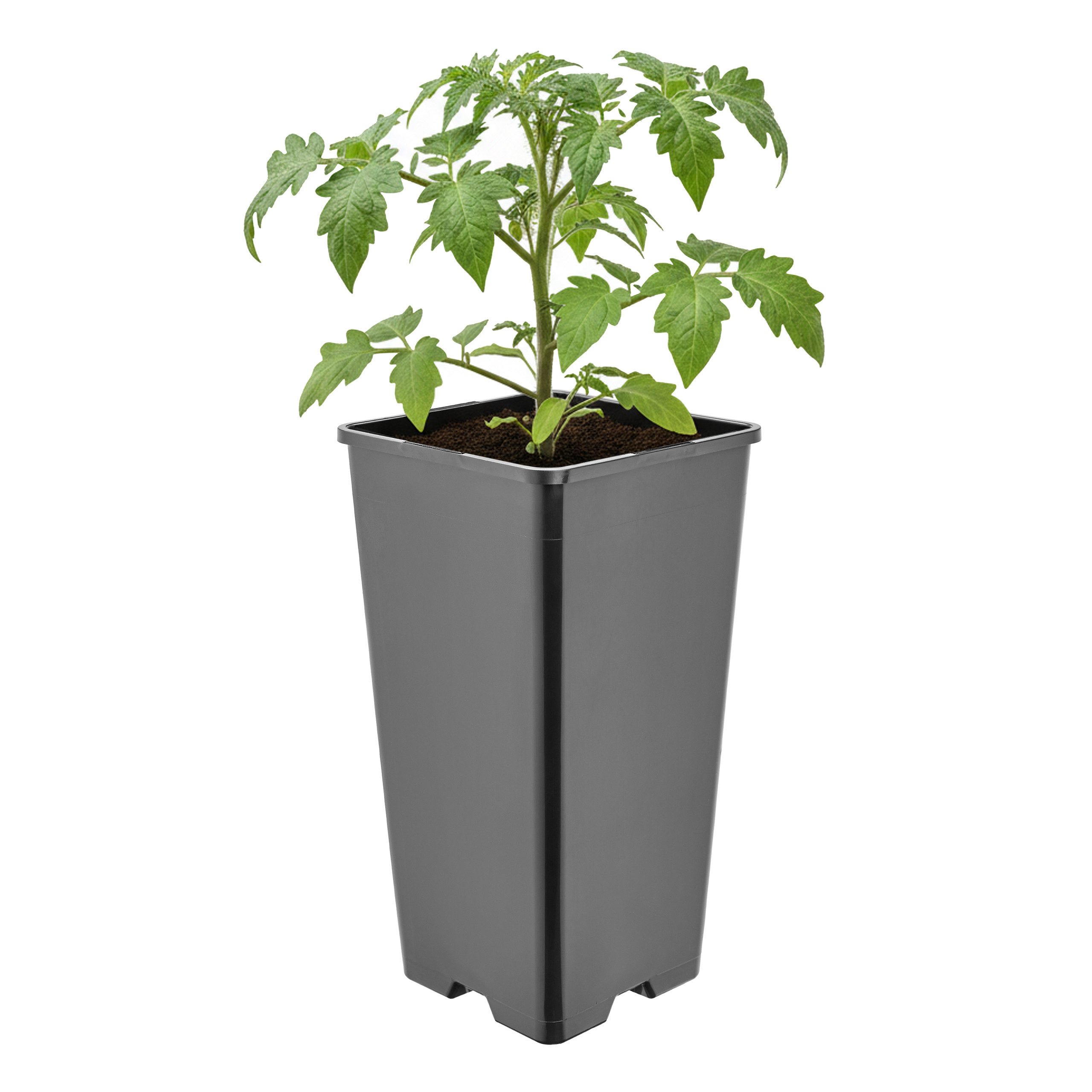 Garronda Blumentopf Kunststoff hoch eckig mit Drainagelöchern für Garten GD-0201 (1 St)