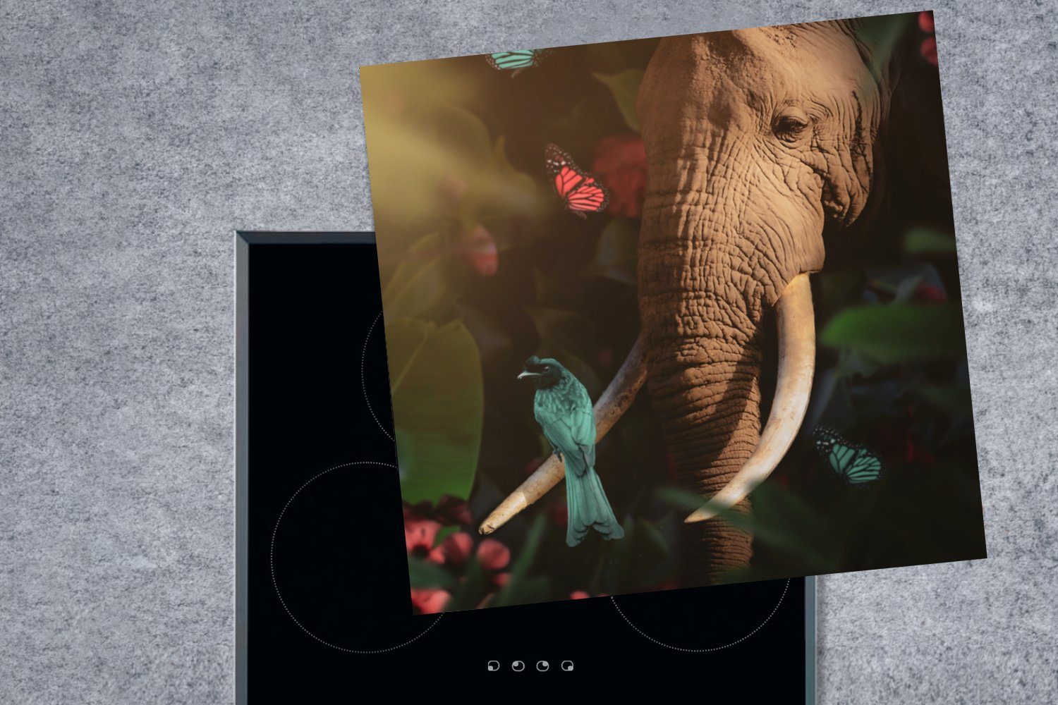 cm, Vinyl, MuchoWow Tiere 78x78 Ceranfeldabdeckung, - Dschungel, tlg), Herdblende-/Abdeckplatte - (1 - Elefant Vogel für Arbeitsplatte küche