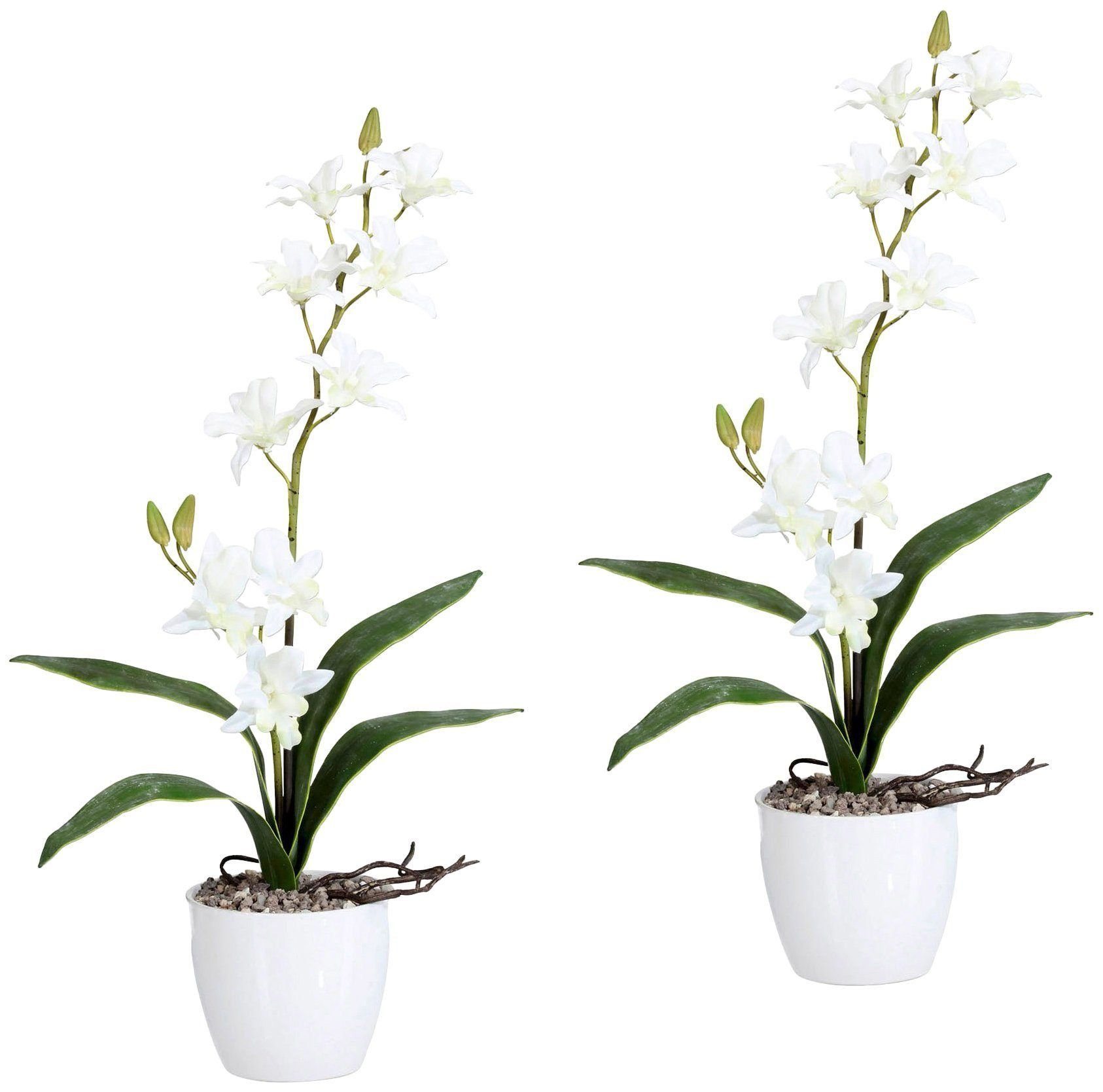 Kunstpflanze Orchidee Dendrobie Orchidee, Creativ green, Höhe 60 cm, im  Keramiktopf