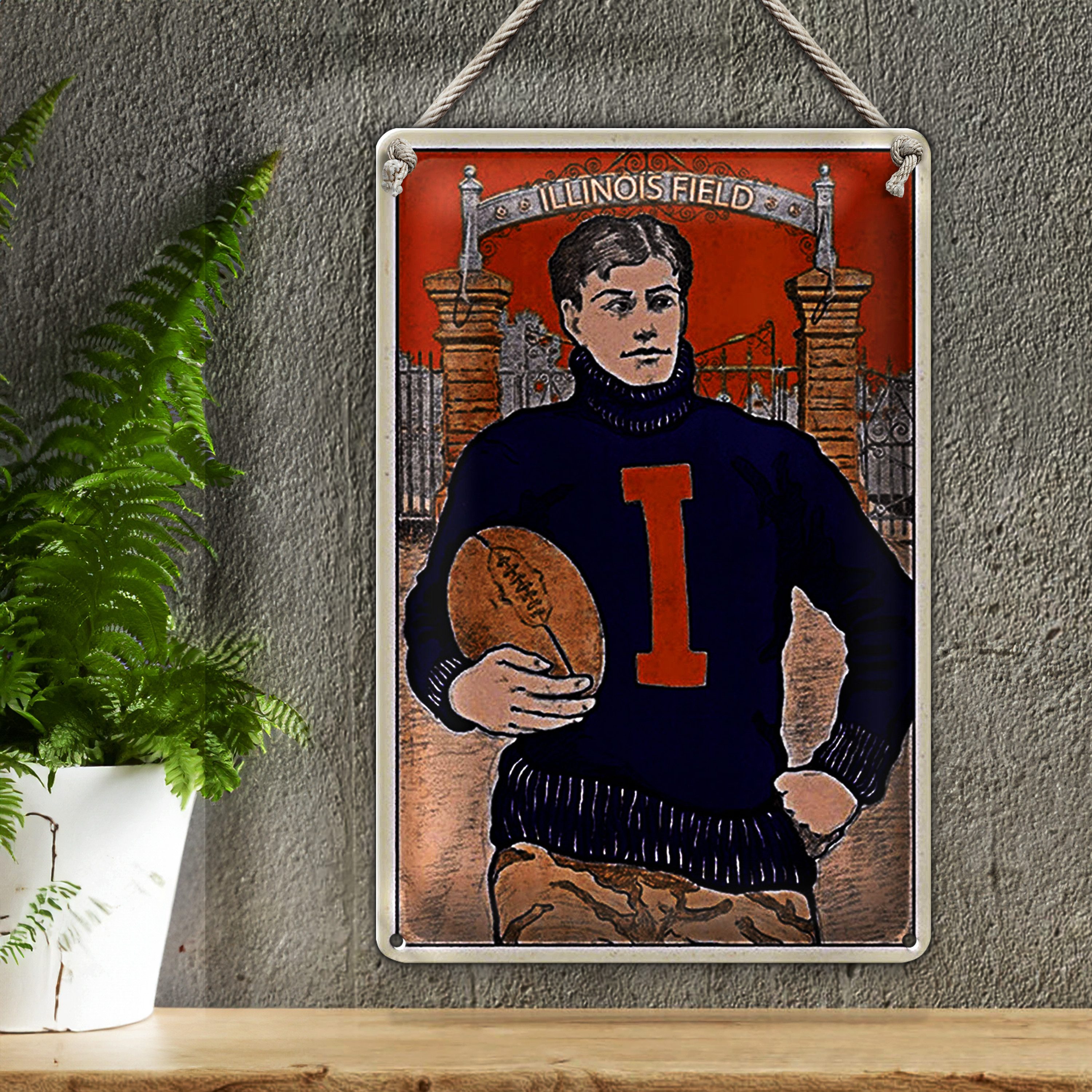 Roomando Metallschild American Football 30x40cm Illinois field