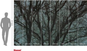 Komar Vliestapete Whispering Woods, (1 St), 400x250 cm (Breite x Höhe), Vliestapete, 100 cm Bahnbreite