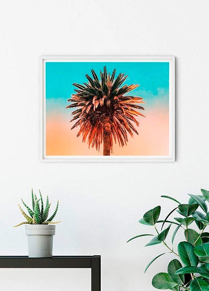 Komar Poster »Palm Tree«, Pflanzen, Blätter, Höhe: 50cm-kaufen