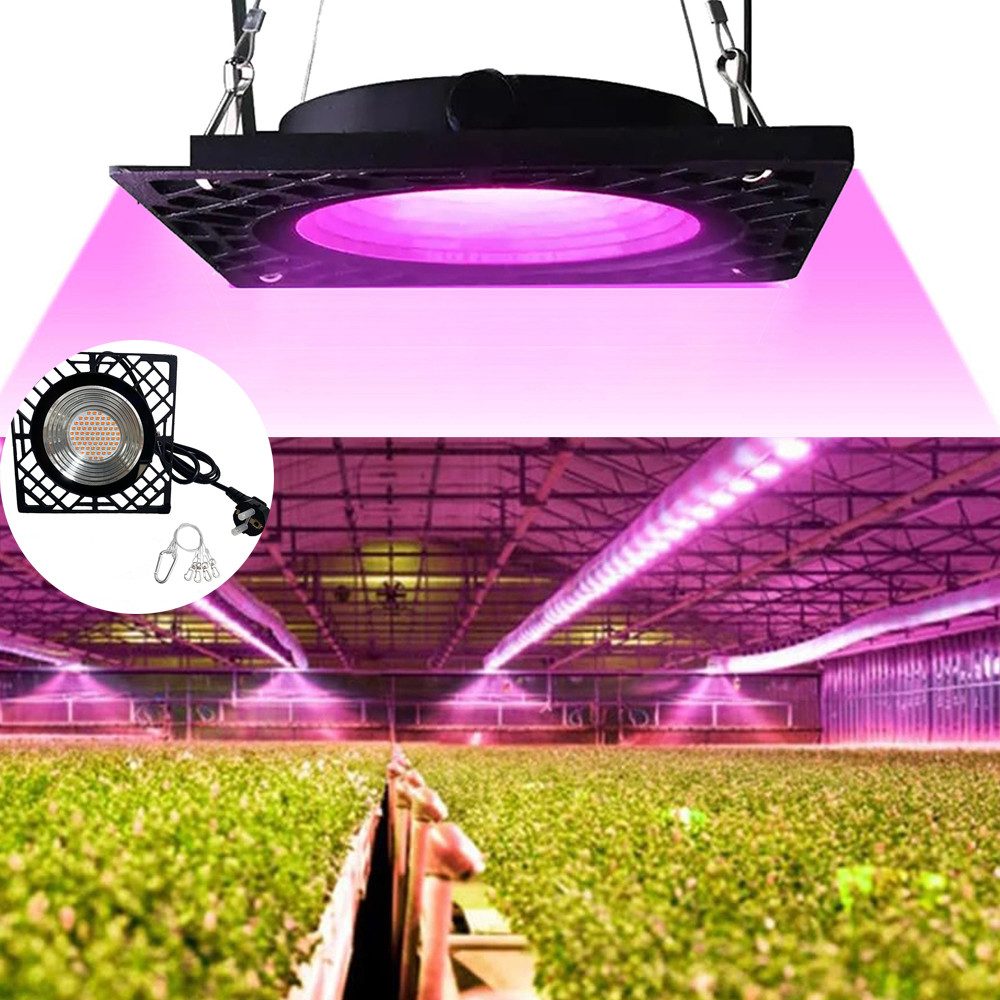 Jibenhome Pflanzenlampe LED Grow Lampe, 50W SMD2835 Vollspektrum Pflanzenli günstig online kaufen
