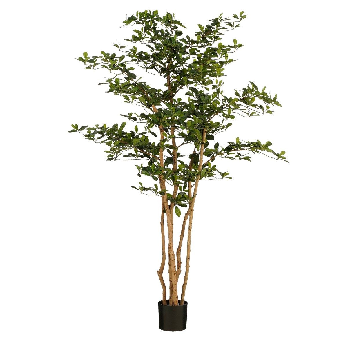 Kunstpflanze Mica Decorations Oriental Olivenbaum gruen - h183xd130cm, Mica Decorations, Höhe 183 cm
