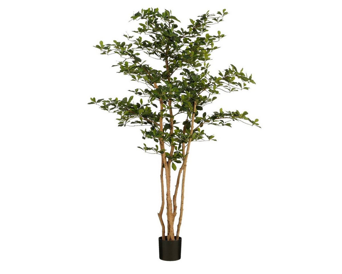 Kunstpflanze Mica Decorations Oriental Olivenbaum gruen - h183xd130cm, Mica Decorations, Höhe 183 cm