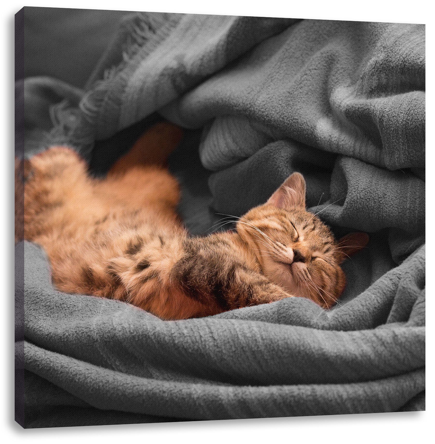 schlafende fertig Katze, St), Leinwandbild (1 Katze bespannt, bezaubernde bezaubernde inkl. Pixxprint Leinwandbild schlafende Zackenaufhänger