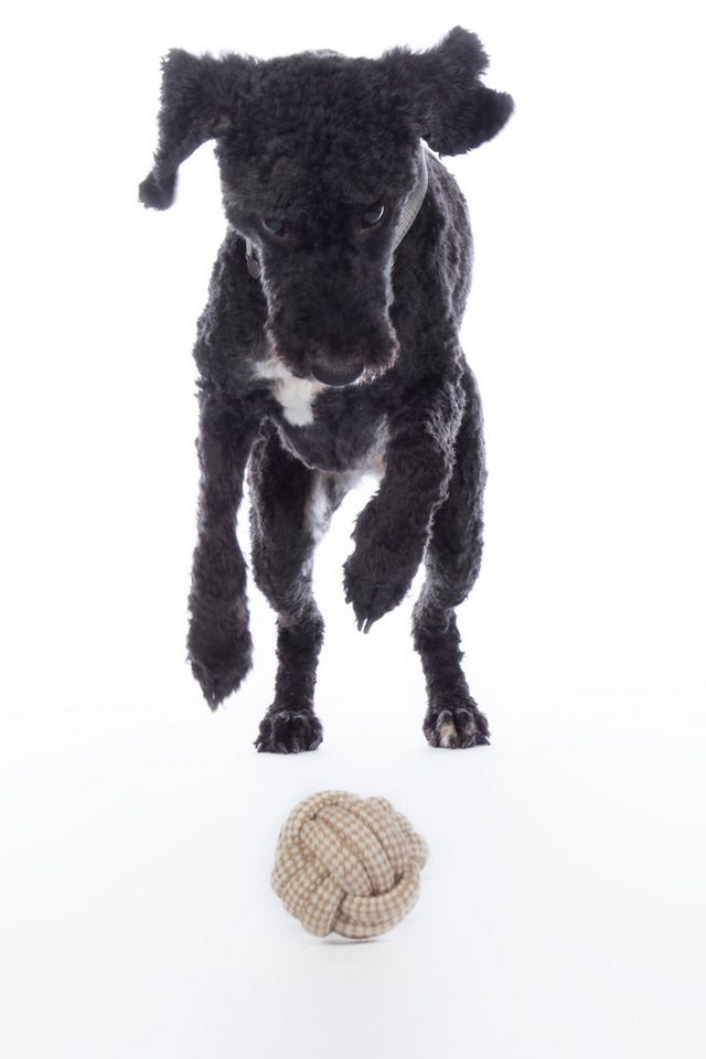 Thumbnail - HKM Dogs Tierkuscheltier Hundespielzeug -Buddy Knot Ball-, 100% Hanfseil, zweites Seil aus 70% Polyester, 30% Baumwolle