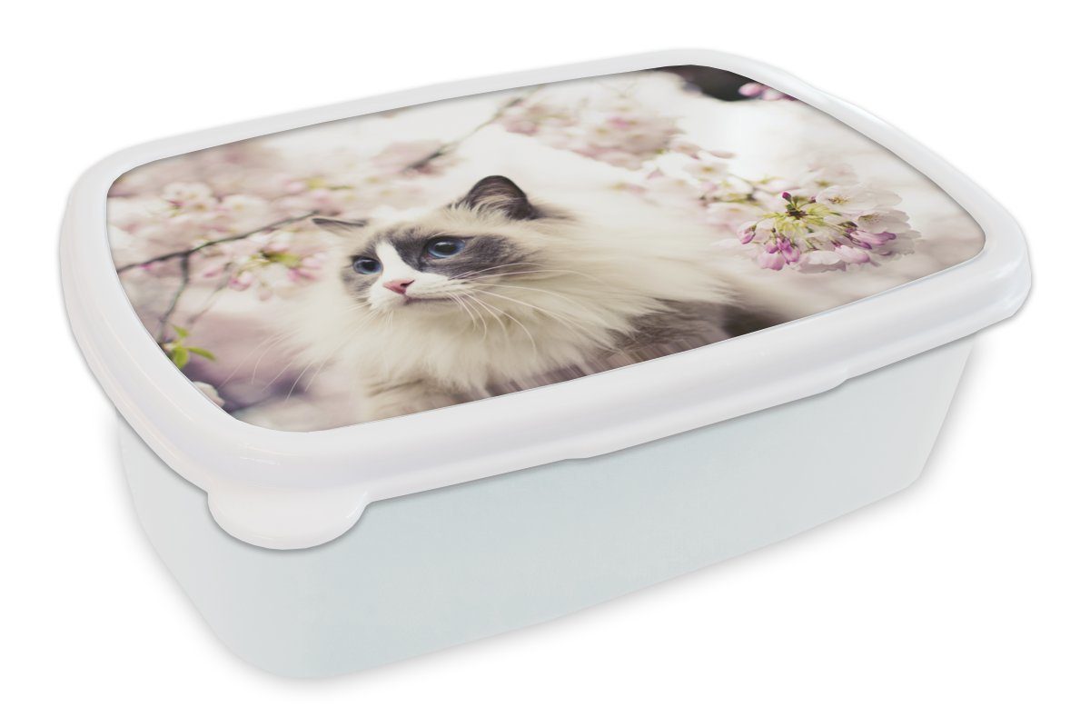 MuchoWow Lunchbox Eine Ragdoll-Katze zwischen rosa Blumen, Kunststoff, (2-tlg), Brotbox für Kinder und Erwachsene, Brotdose, für Jungs und Mädchen weiß