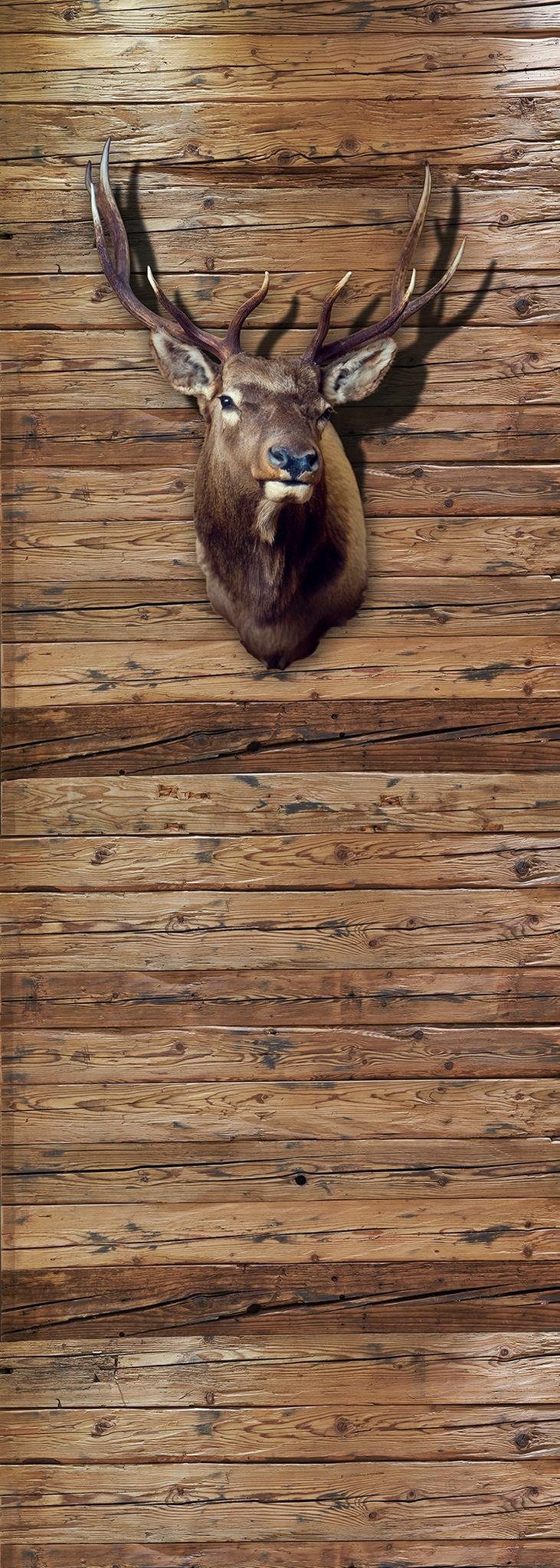 A.S. Création Fototapete A.S. Création XXL 5 Fototapete, Jagdtrophäe, 1m x 2,8m DD115989, glatt, glatt