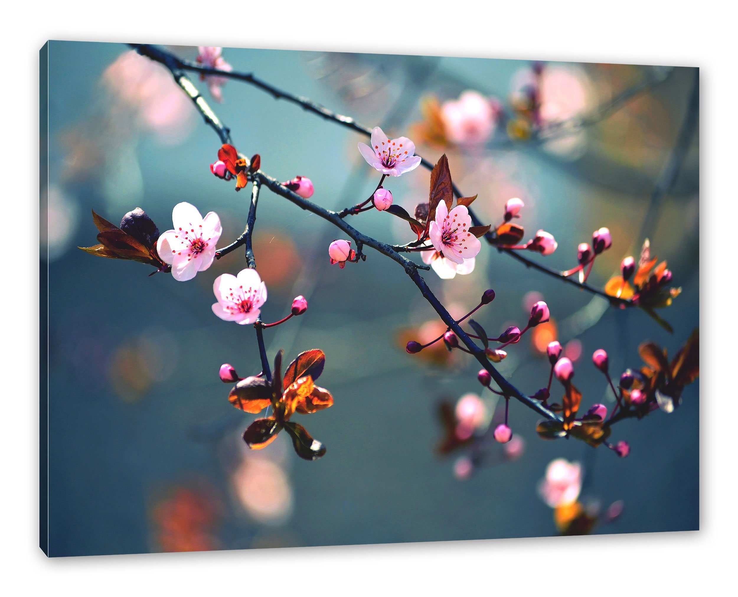 Zackenaufhänger Sakura Leinwandbild Sakura Exotische bespannt, fertig St), (1 Blüten, Blüten Pixxprint Exotische inkl. Leinwandbild