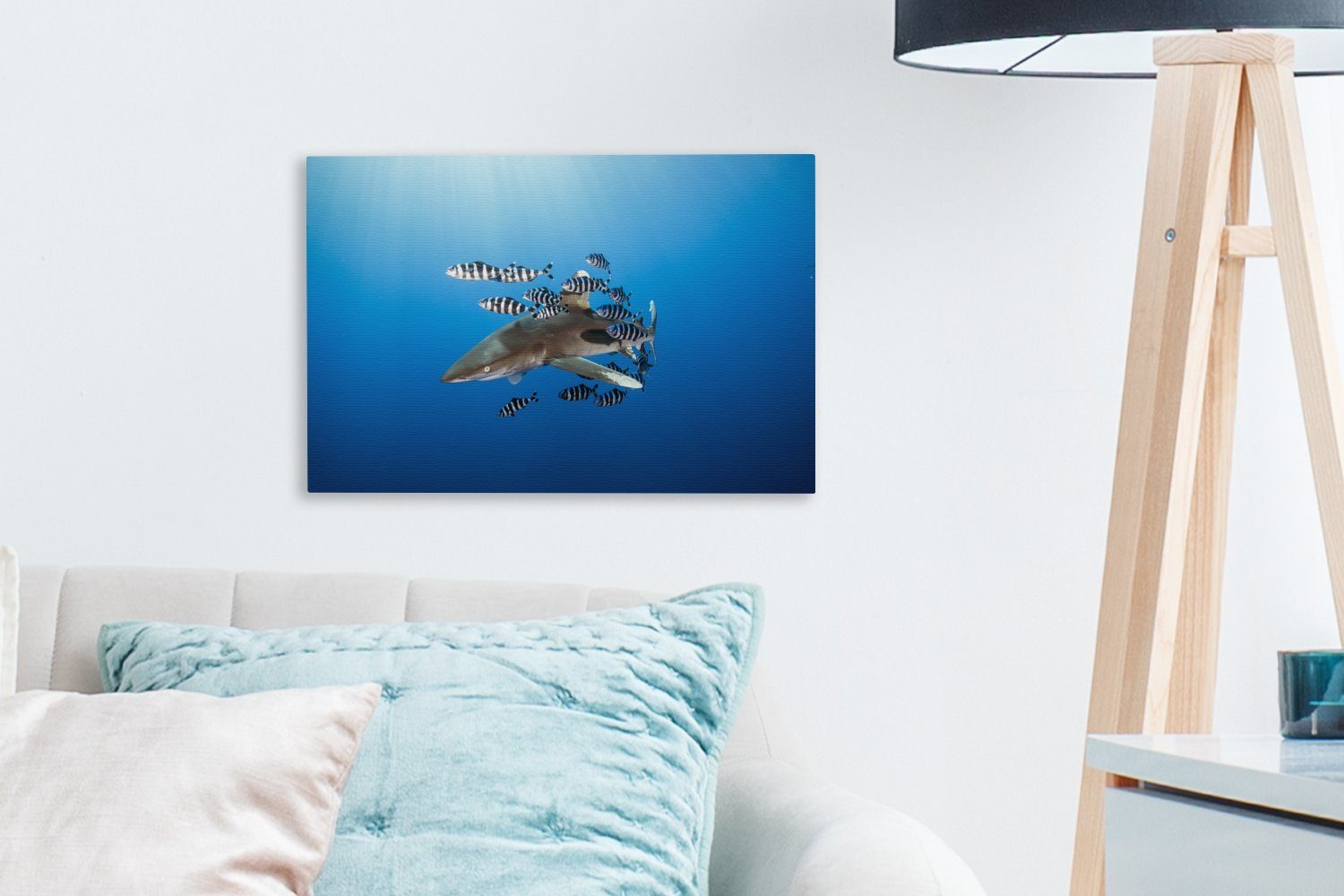 Wandbild Hai Leinwandbilder, Fisch, cm OneMillionCanvasses® St), Wanddeko, mit 30x20 Leinwandbild Aufhängefertig, (1