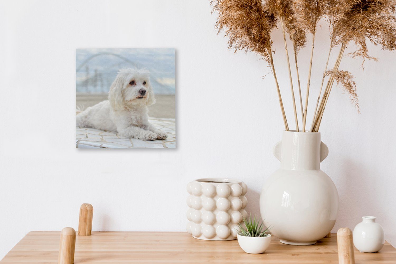OneMillionCanvasses® Leinwandbild Ruhiger Bilder für Leinwand (1 Schlafzimmer Malteser entspannt Wohnzimmer sich, St)