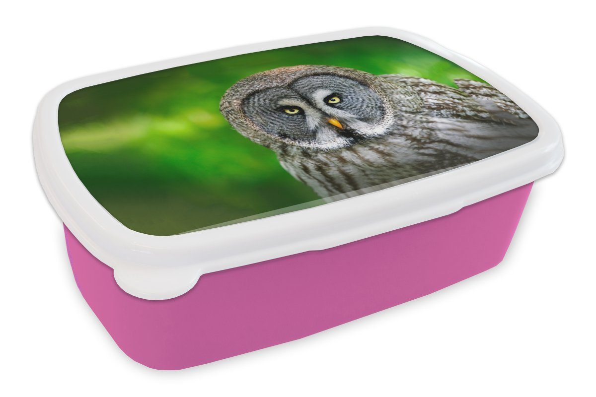 MuchoWow Lunchbox Vogel - Eule - Tiere - Braun - Porträt, Kunststoff, (2-tlg), Brotbox für Erwachsene, Brotdose Kinder, Snackbox, Mädchen, Kunststoff rosa