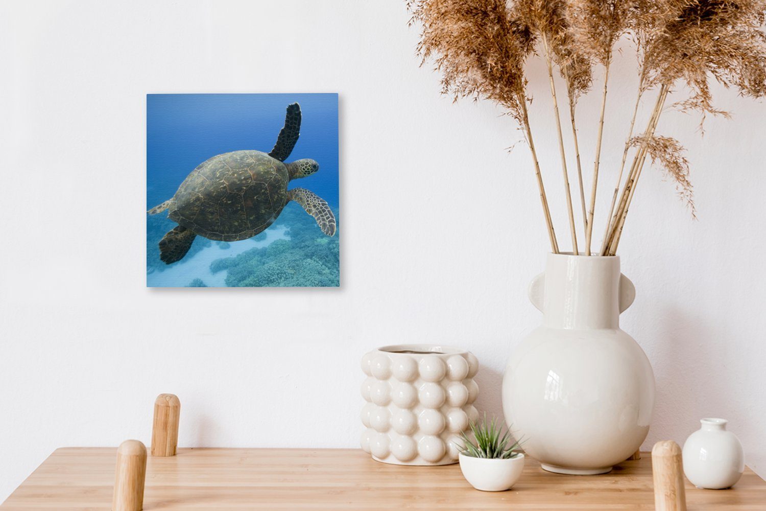 schwimmende Leinwandbild Wohnzimmer Schlafzimmer Grüne Bilder für Schildkröte St), OneMillionCanvasses® Fotodruck, Leinwand (1