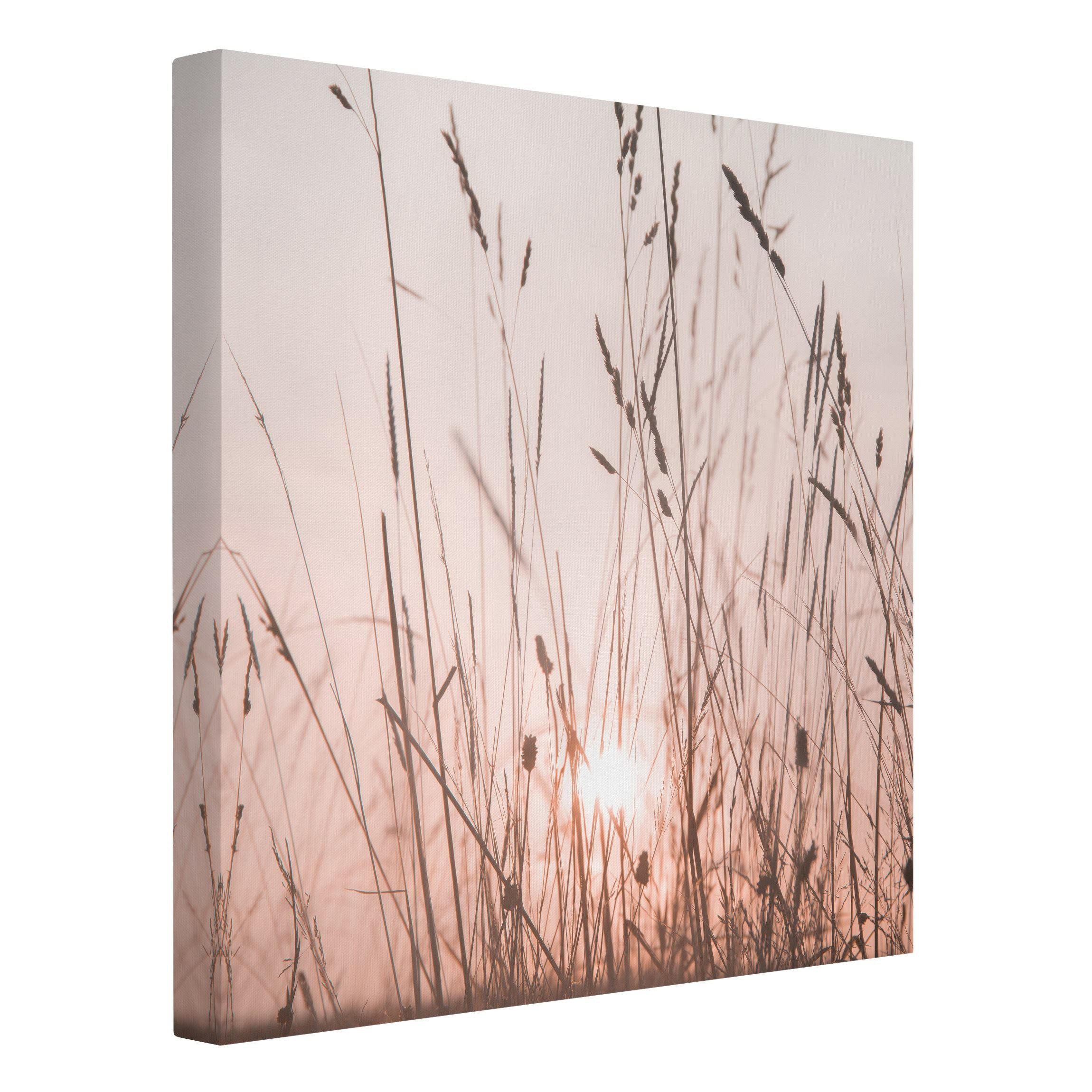 Bilderdepot24 Leinwandbild Kunstdruck Sommerabend creme beige günstig online kaufen