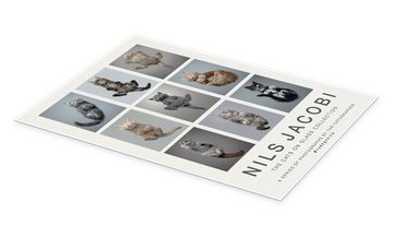 Posterlounge Poster FurryFritz - Nils Jacobi, The Cats on Glass Collection, Wohnzimmer Modern Fotografie