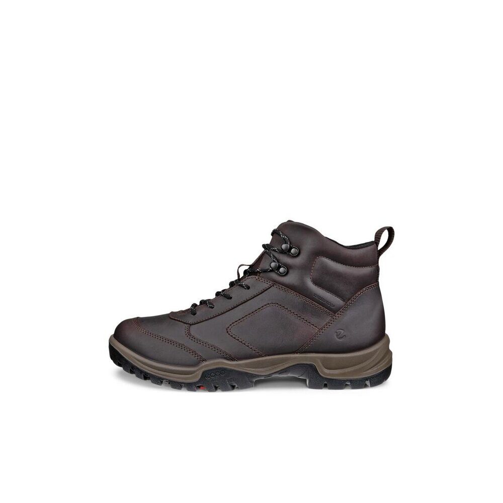 Ecco Ecco - Stiefel: XPEDITION III M - Braun Stiefel günstig online kaufen