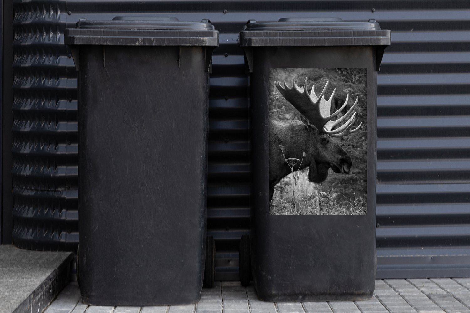 mit St), Container, der Mülltonne, Sticker, MuchoWow schwarz-weiß Nähe - Abfalbehälter Elch Mülleimer-aufkleber, Wandsticker Geweih großem aus (1